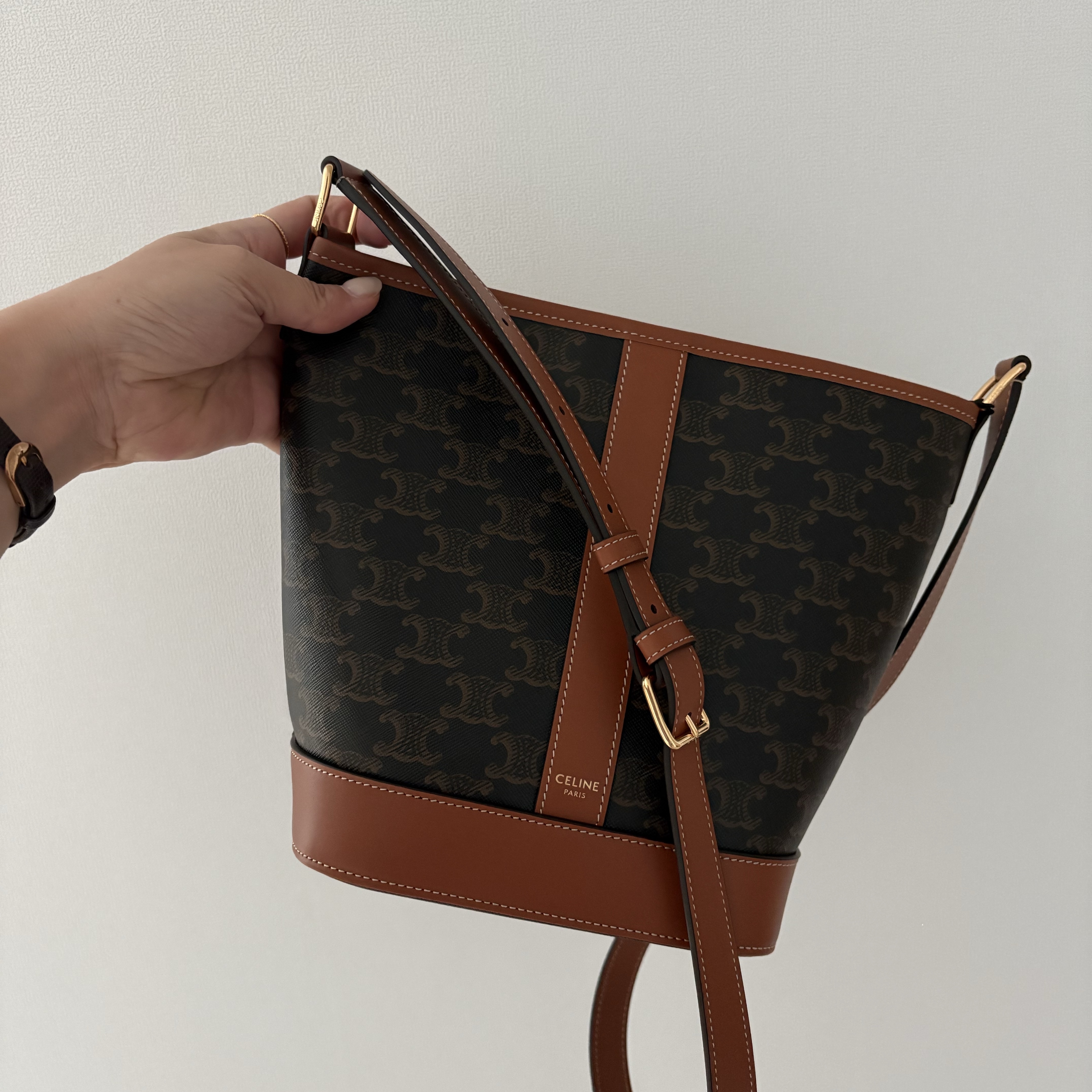 Celine Small Bucket in Triomphe Canvas and Calfskin Tan 착용 스타일