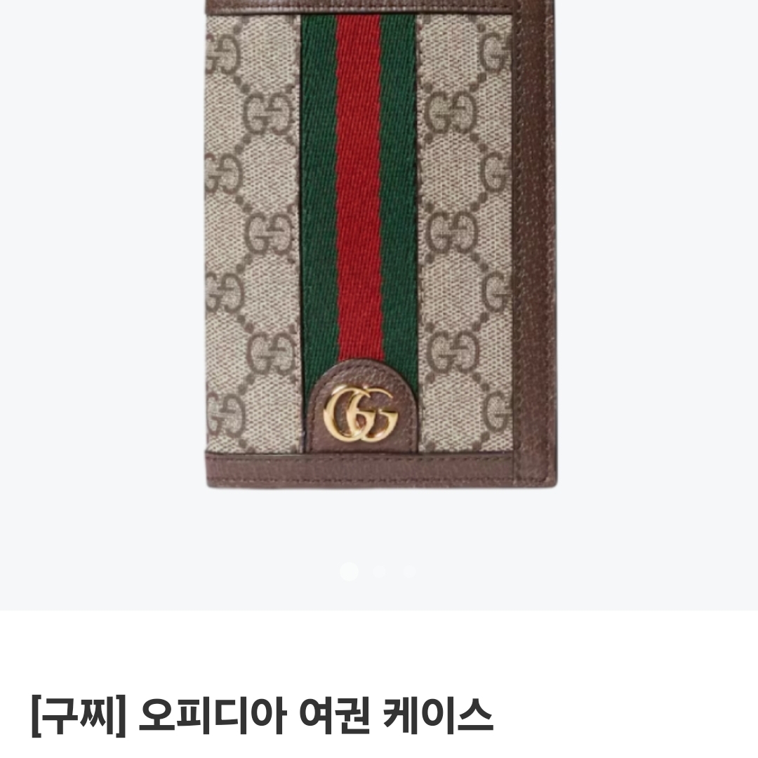 Gucci Ophidia GG Passport Case Beige Ebony 착용 스타일 - 1