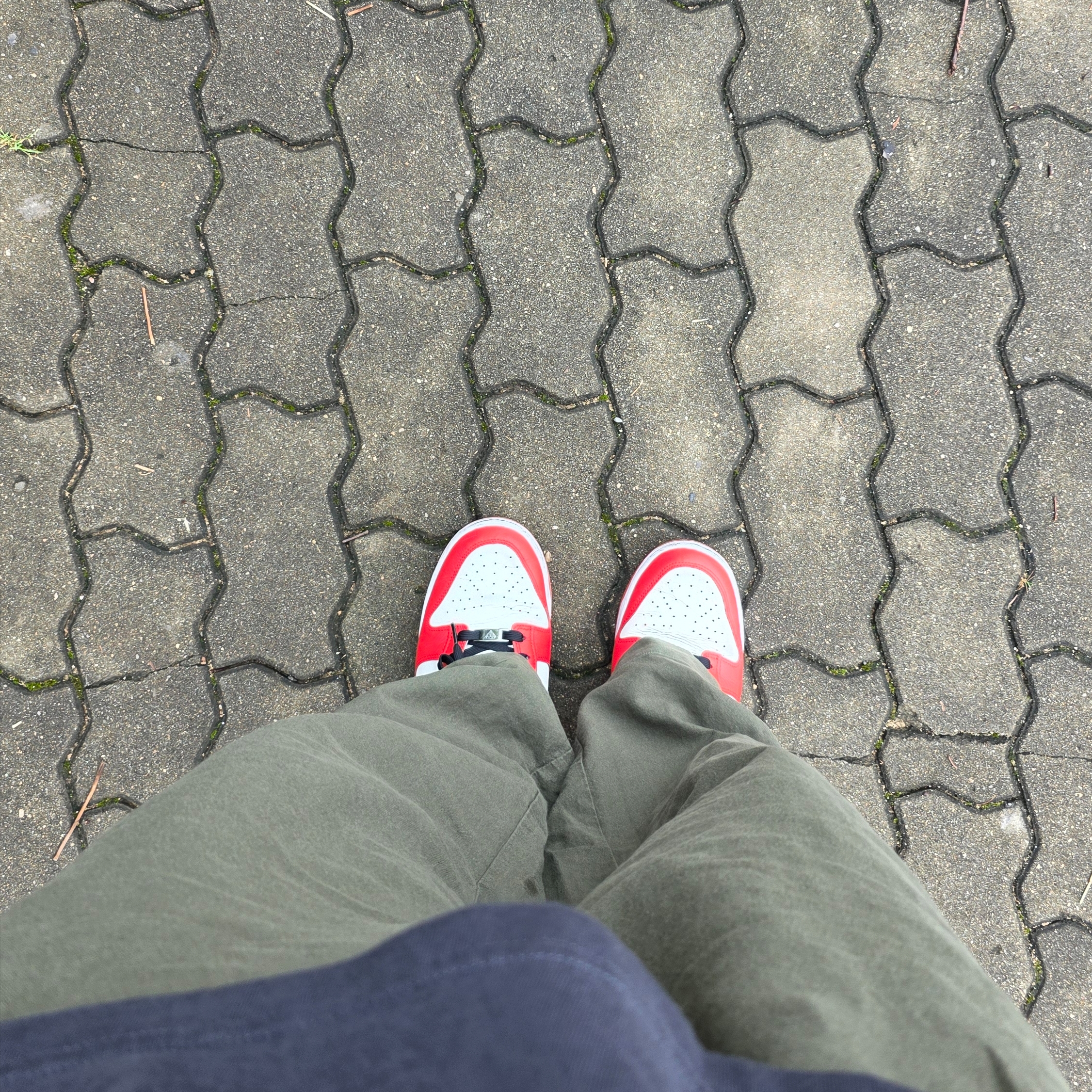 Nike x NBA Dunk Low Retro EMB Black and Chile Red 착용 스타일