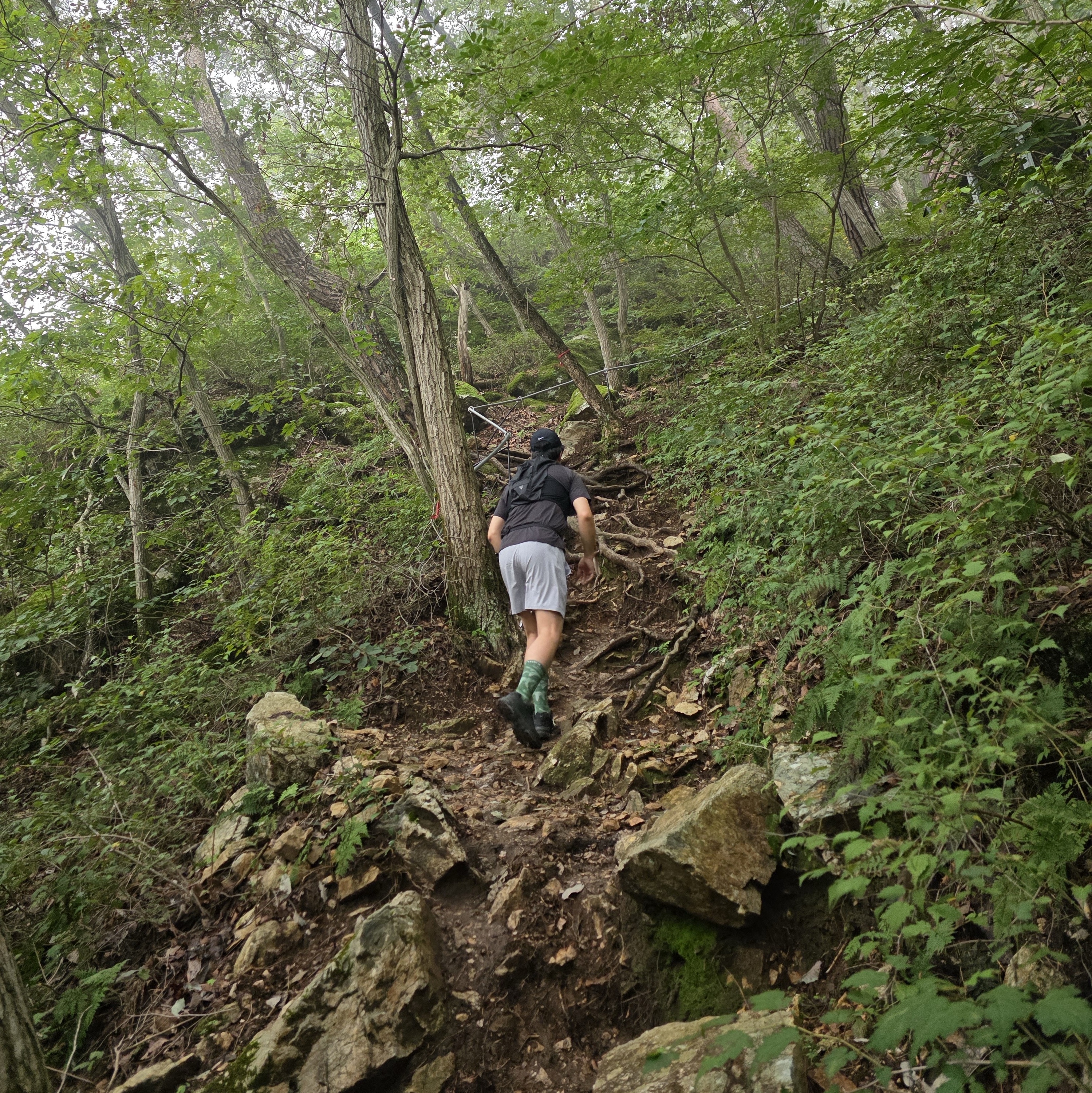 Salomon Active Skin 8 Set Black Metal, Arc'teryx Mantis 2 Waistpack Black II 착용 스타일 - 3