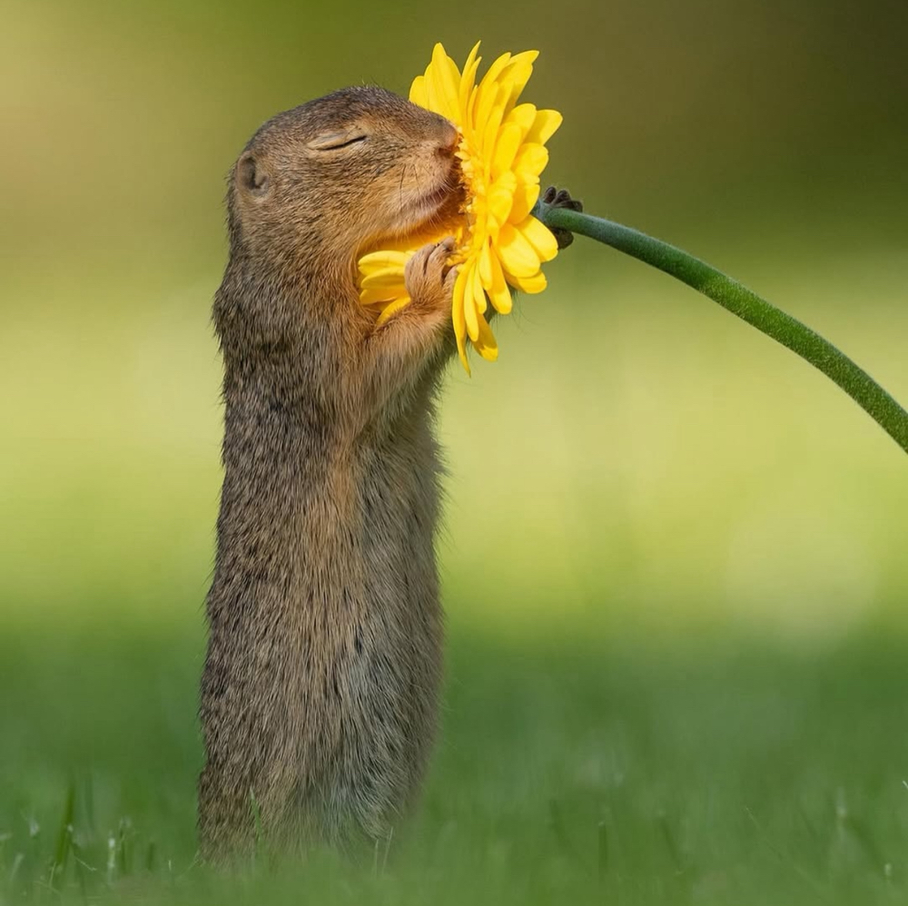 관심 유저 프로필 이미지