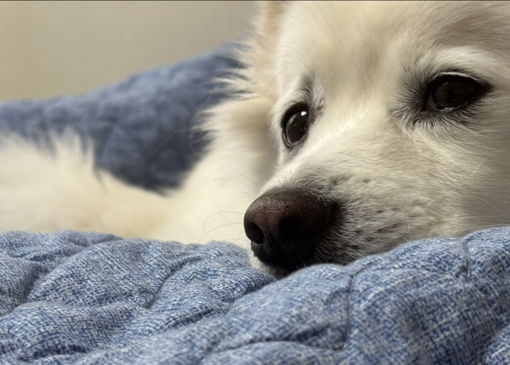 관심 유저 프로필 이미지