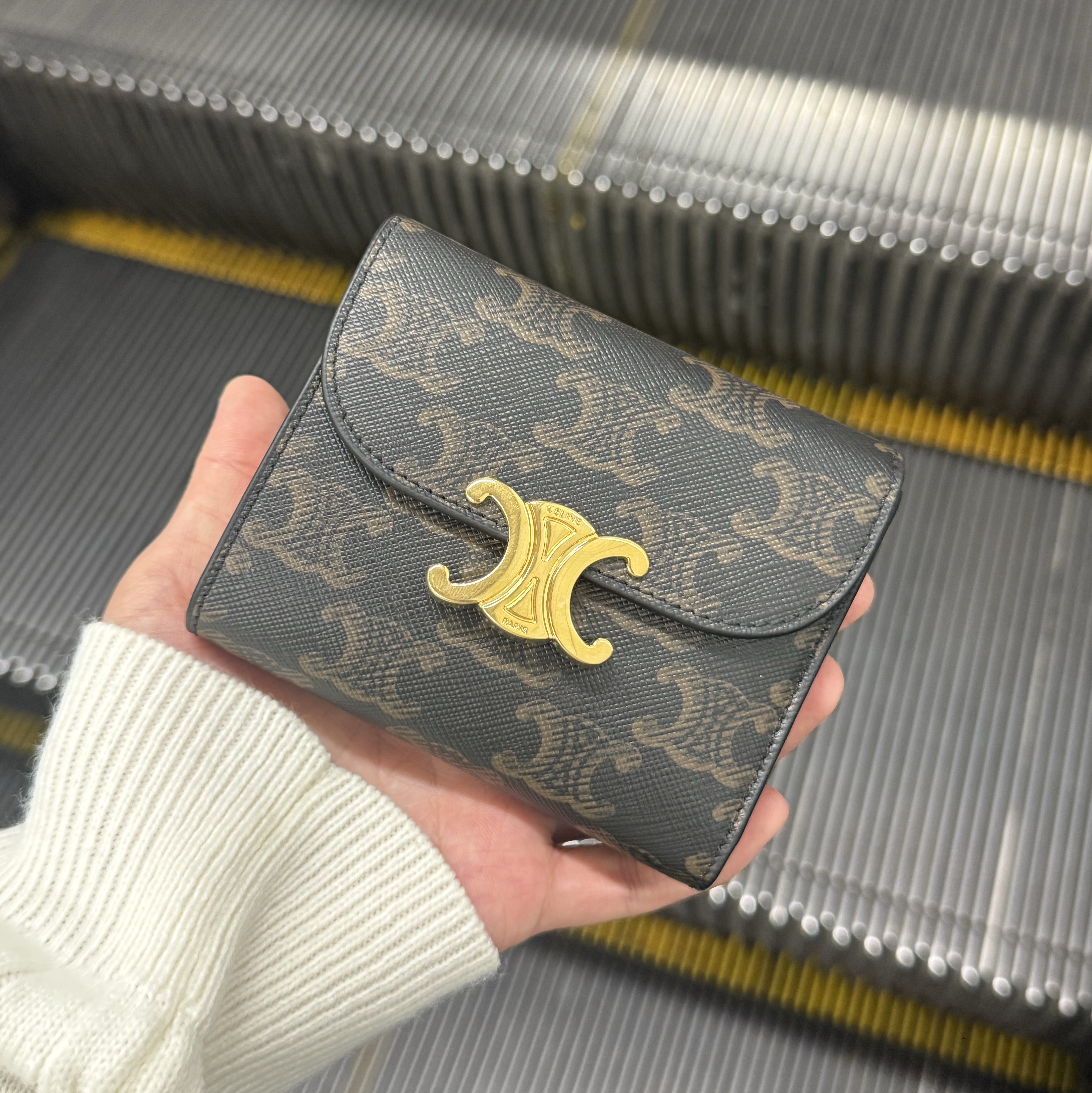 Celine Small Wallet Triomphe in Triomphe Canvas Tan 착용 스타일