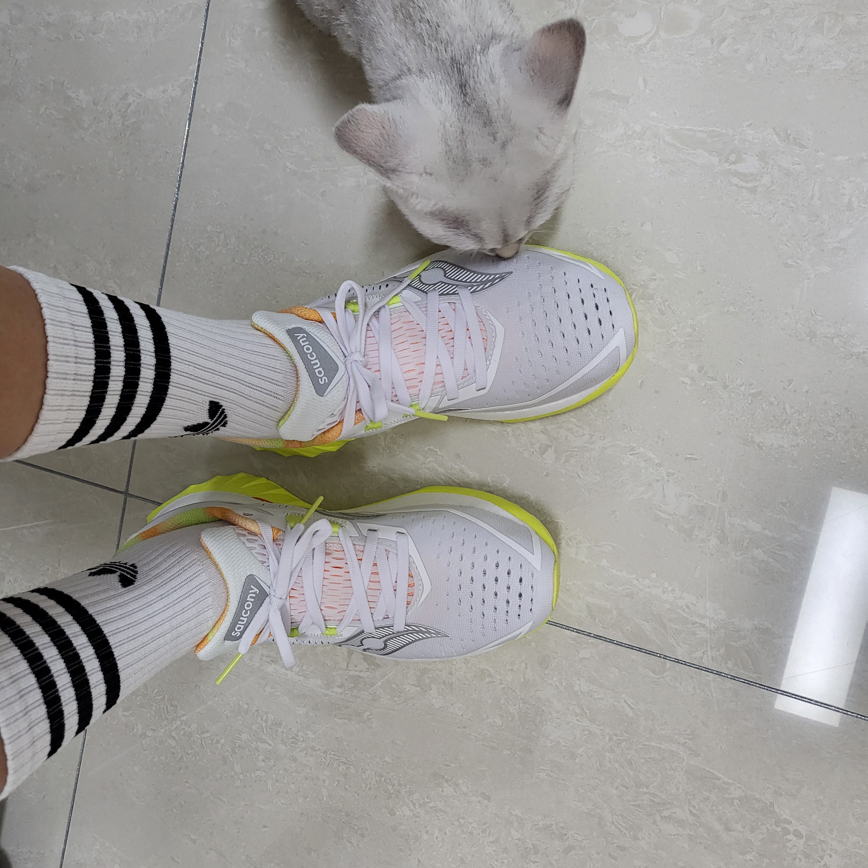 (W) Saucony Endorphin Speed 4 White Sunny 착용 스타일
