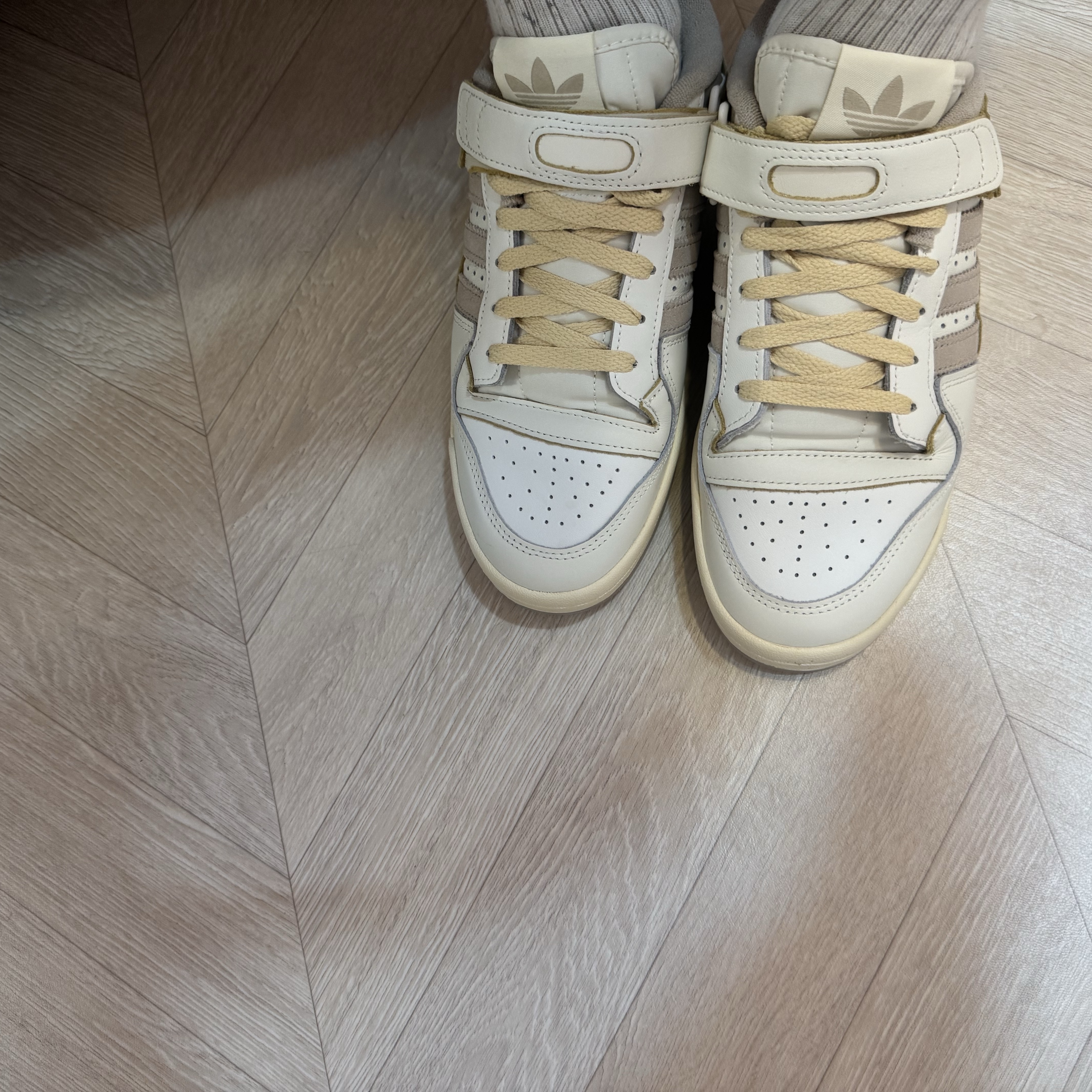 Adidas Forum 84 Low Off White Wonder Beige 착용 스타일 - 1