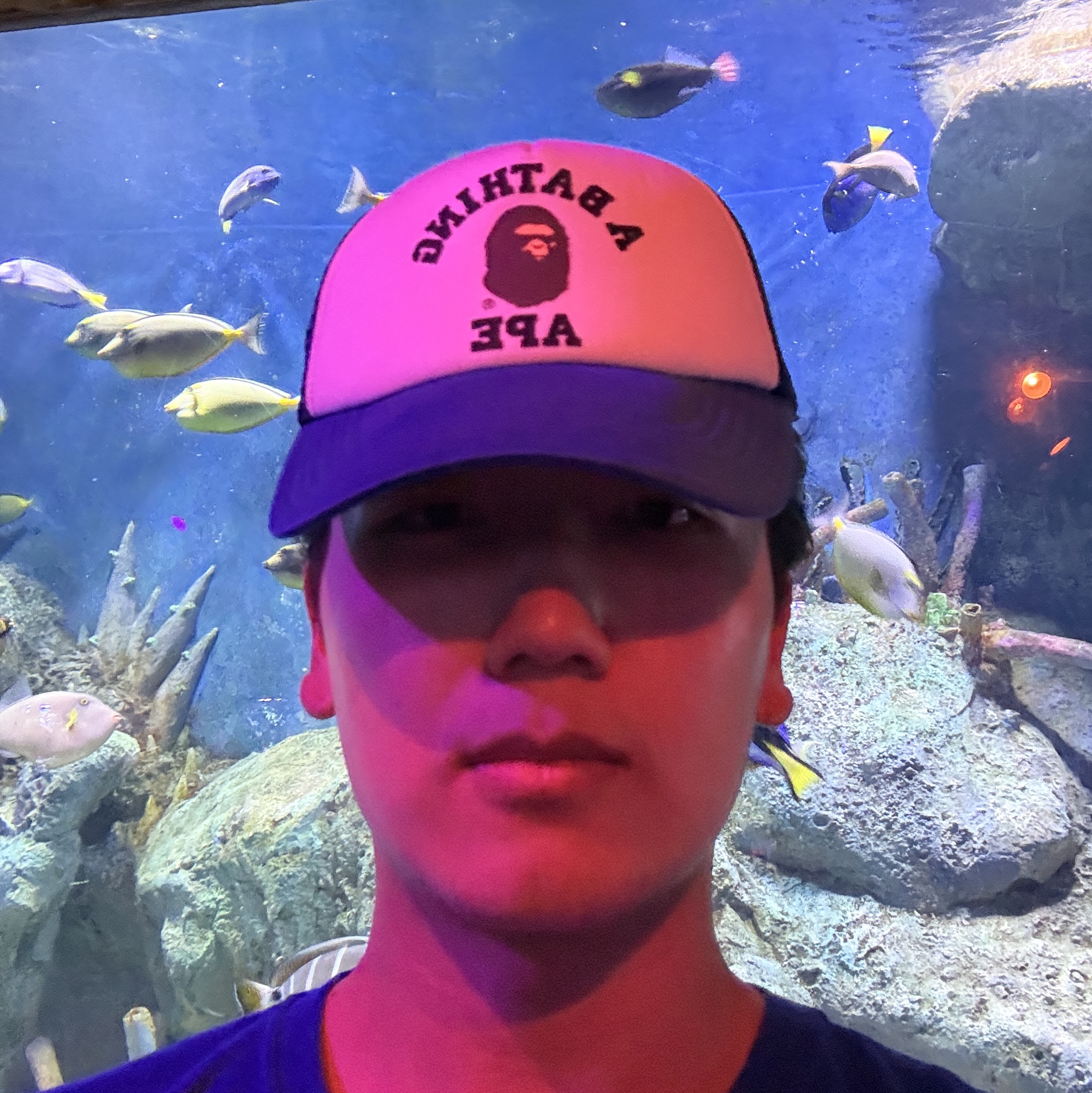 BAPE College Mesh Cap Blue 착용 스타일