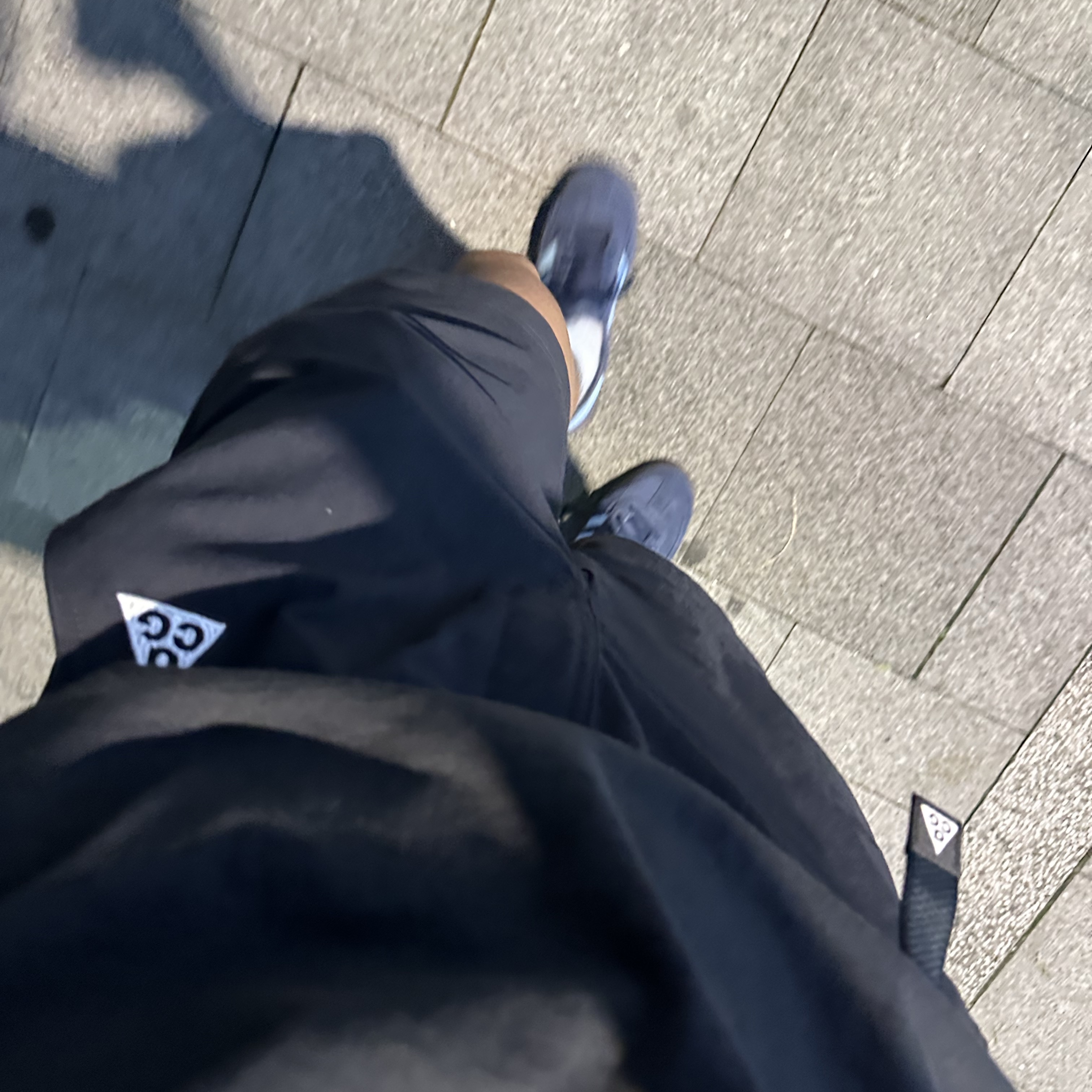 Nike ACG Hiking Shorts Black - Asia 착용 스타일