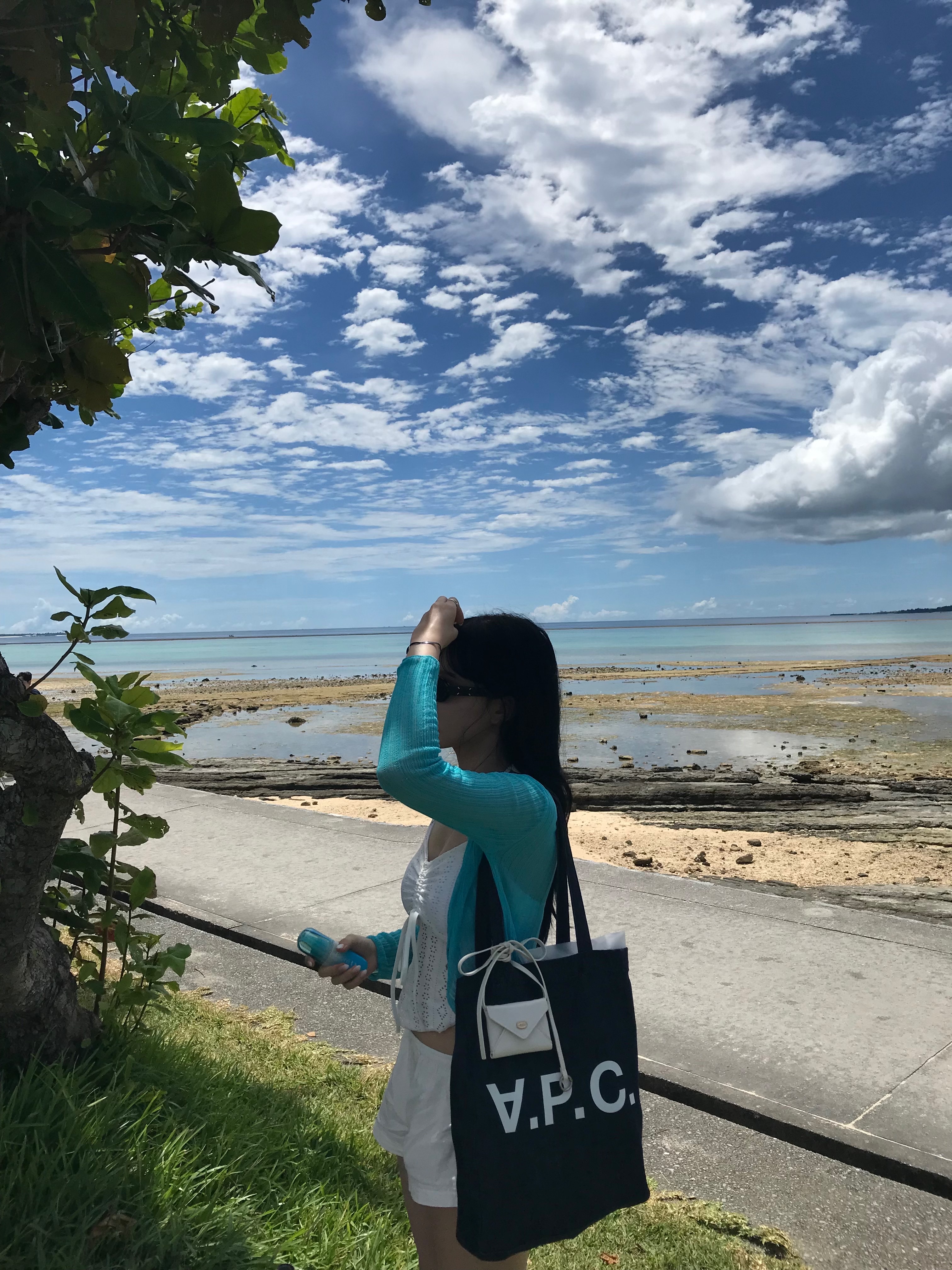 A.P.C. Laure Tote Bag Blue 착용 스타일 - 4
