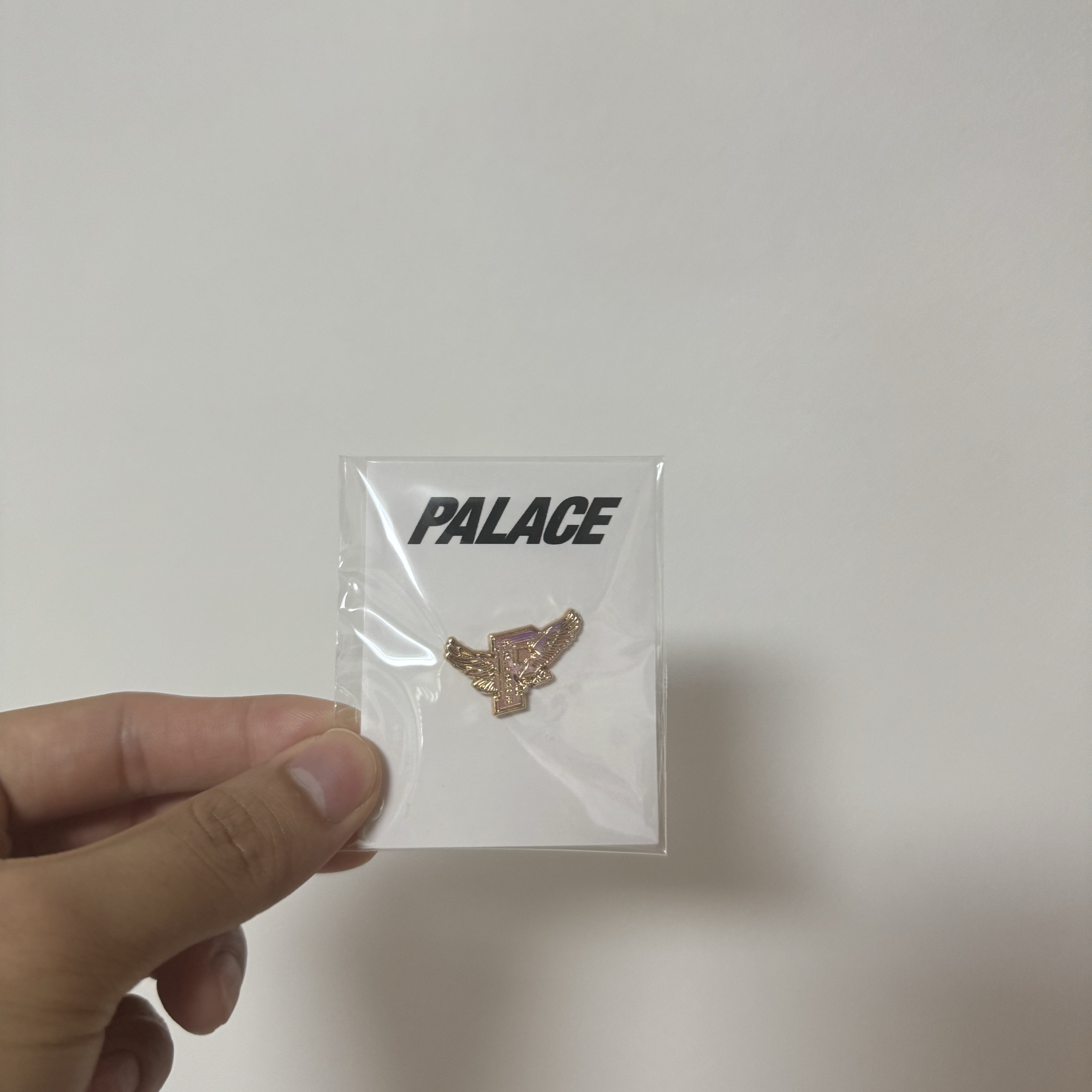 Palace Eagle Pin Badge Gold - 25FW 착용 스타일