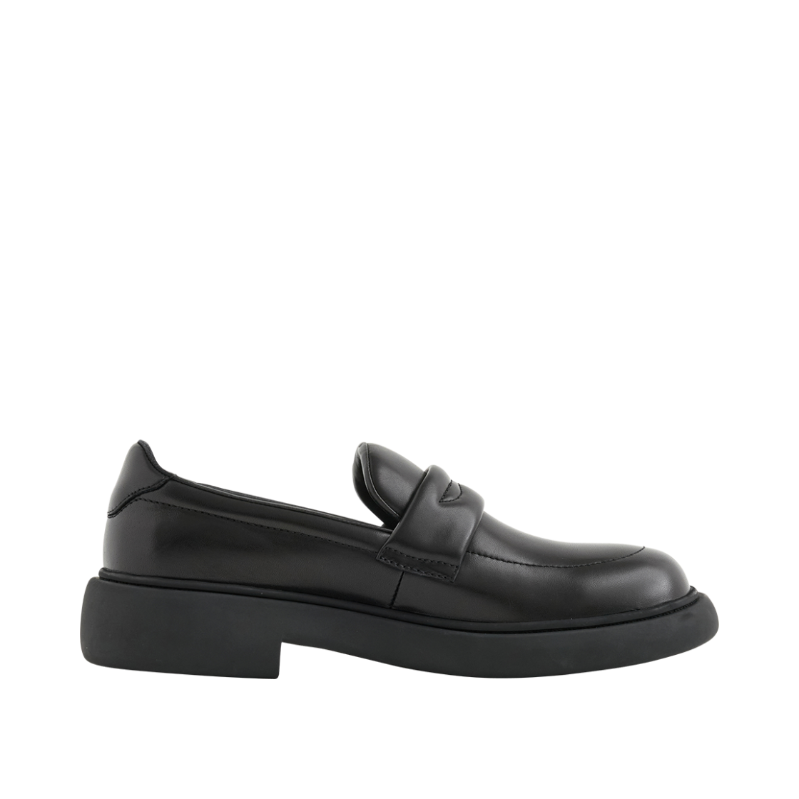 BEMPLF01 Mistake project Turtle Black