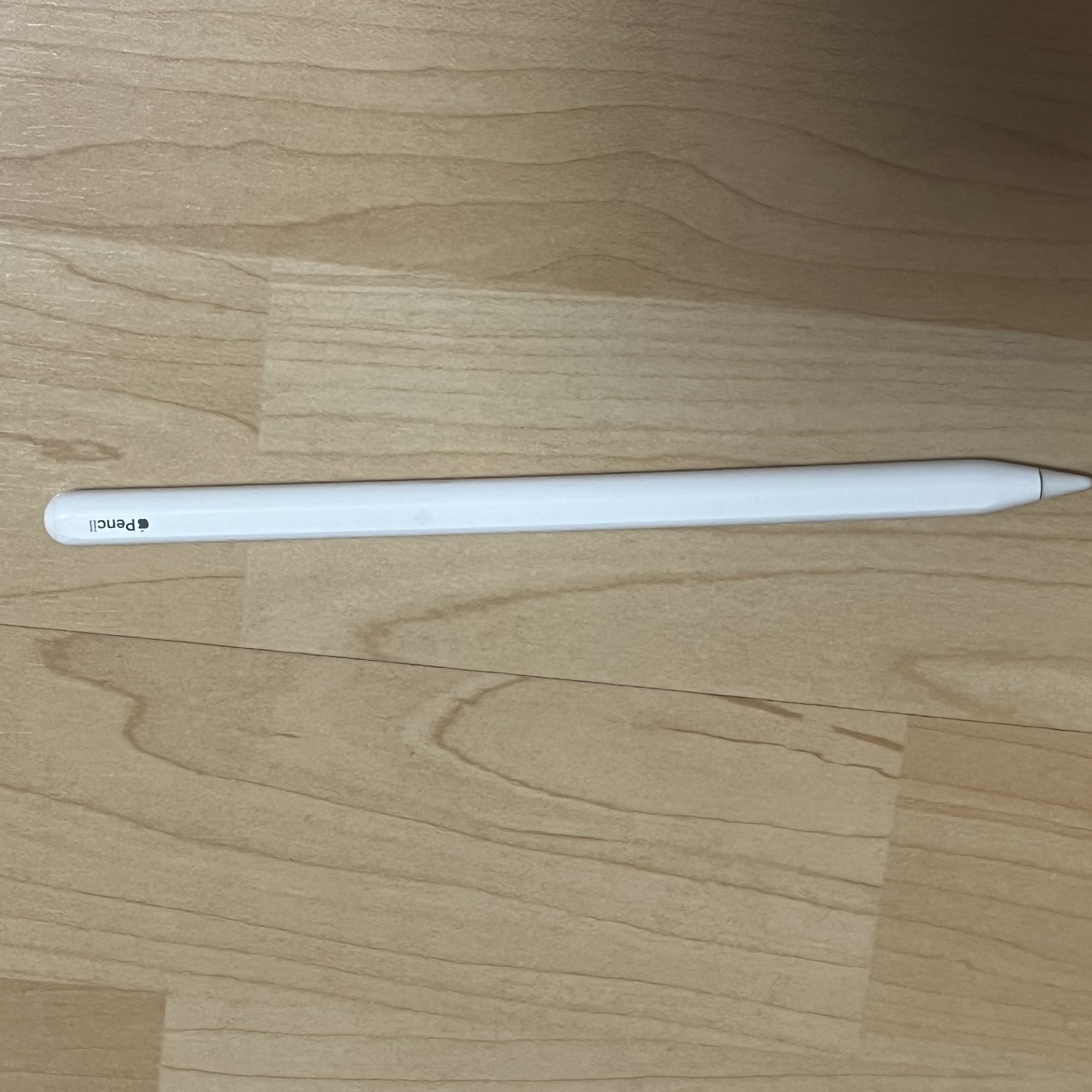 Apple Apple Pencil USB-C (Korean Ver.) 착용 스타일