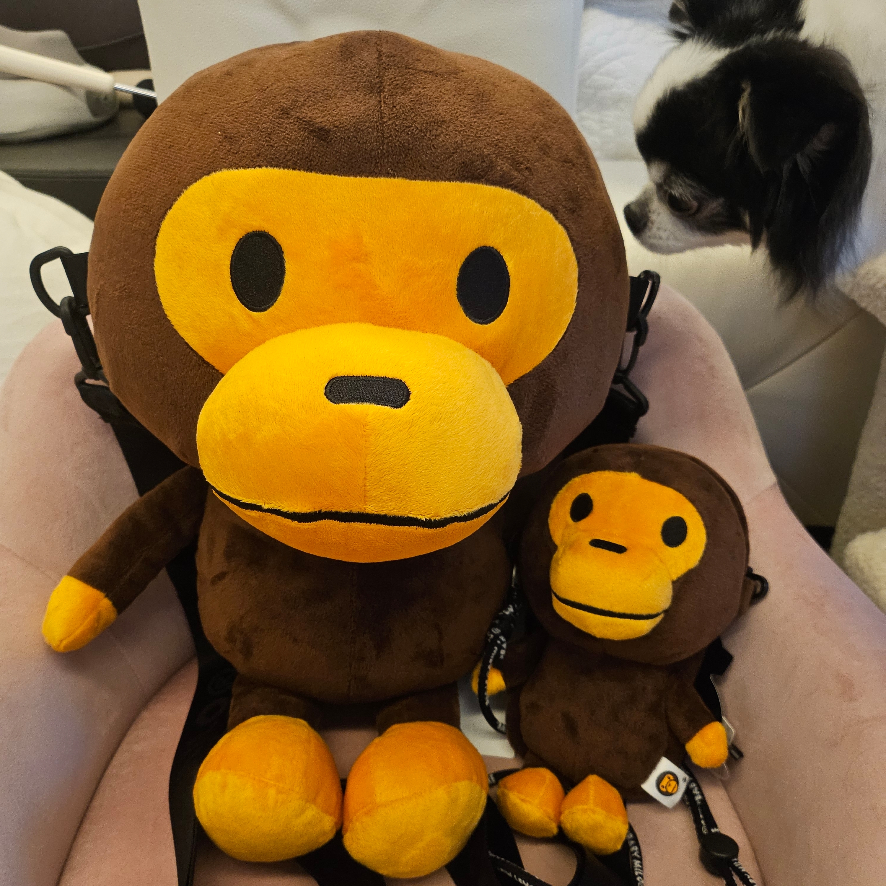 BAPE Baby Milo Mobile Bag Brown 착용 스타일