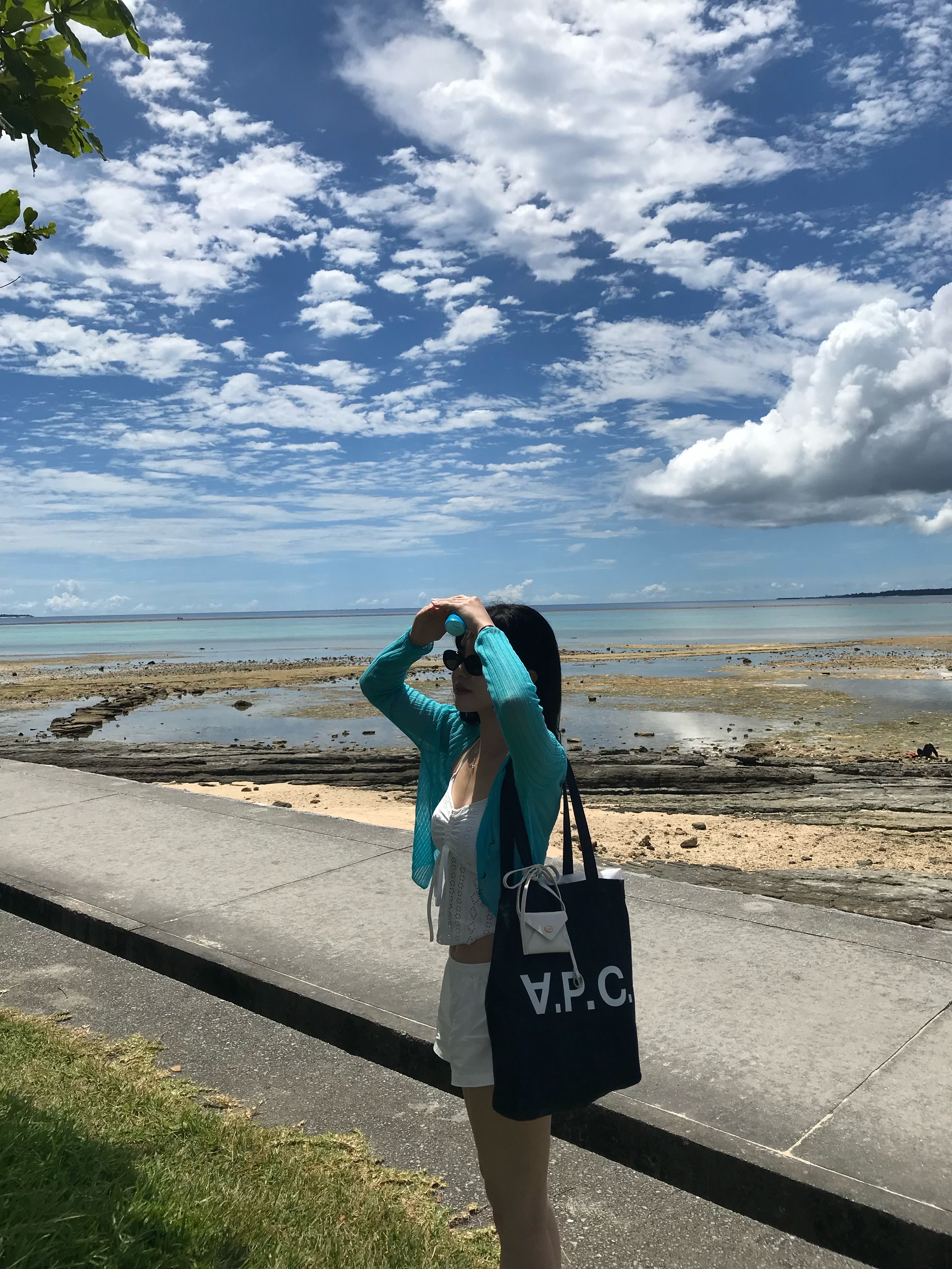 A.P.C. Laure Tote Bag Blue 착용 스타일 - 1