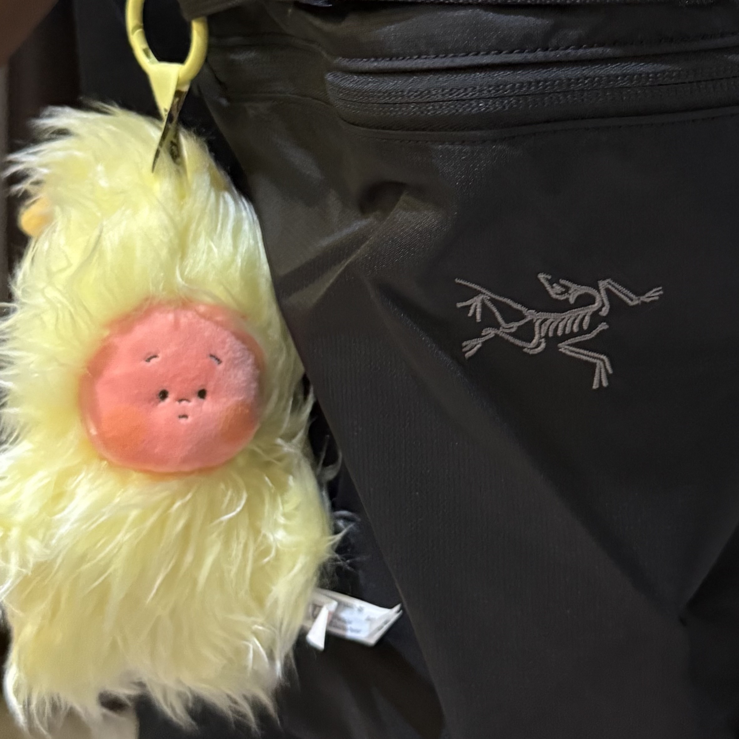 Pop Mart Twinkle Twinkle Sweet Dreams Forecast Series Plush Pendant Mess In Wind (Opened Case), Arc'teryx Heliad 15 Backpack Black 착용 스타일