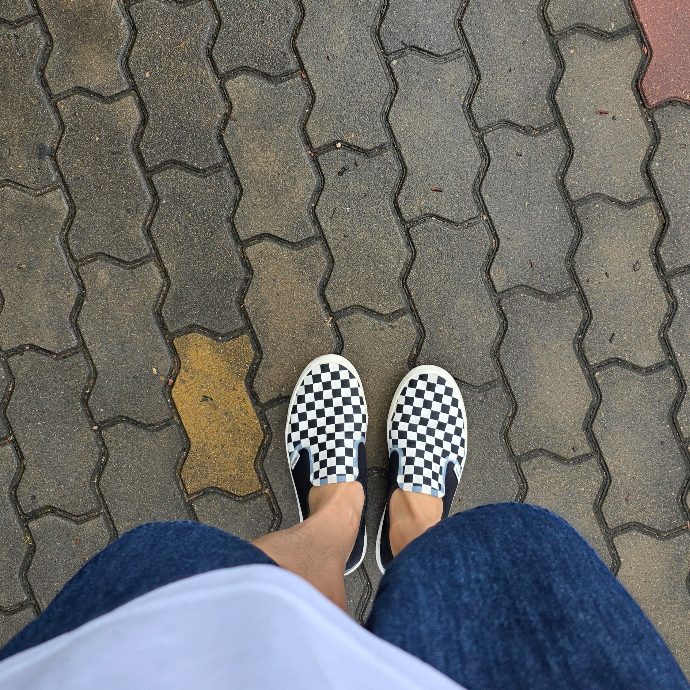 Vans Checkerboard Comfycush One Black 착용 스타일