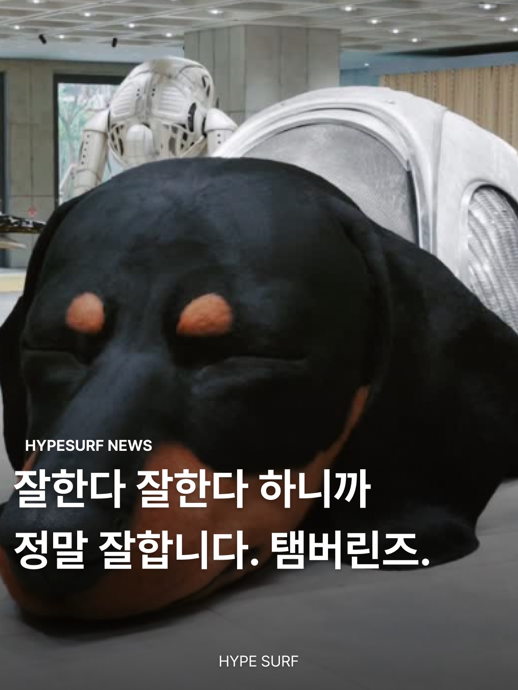 hypefashionzip님의 스타일 - 1