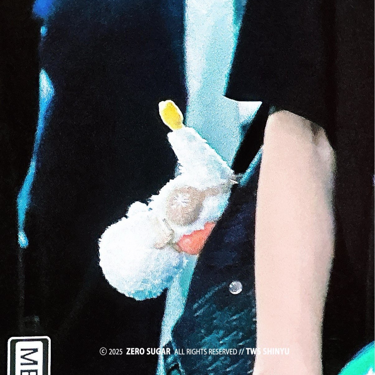 Pop Mart Twinkle Twinkle Sweet Dreams Forecast Series Plush Pendant Hug From Snowman (Opened Case), Celine Triomphe Loose T-Shirt in Cotton Jersey Black White 착용 스타일 - 1