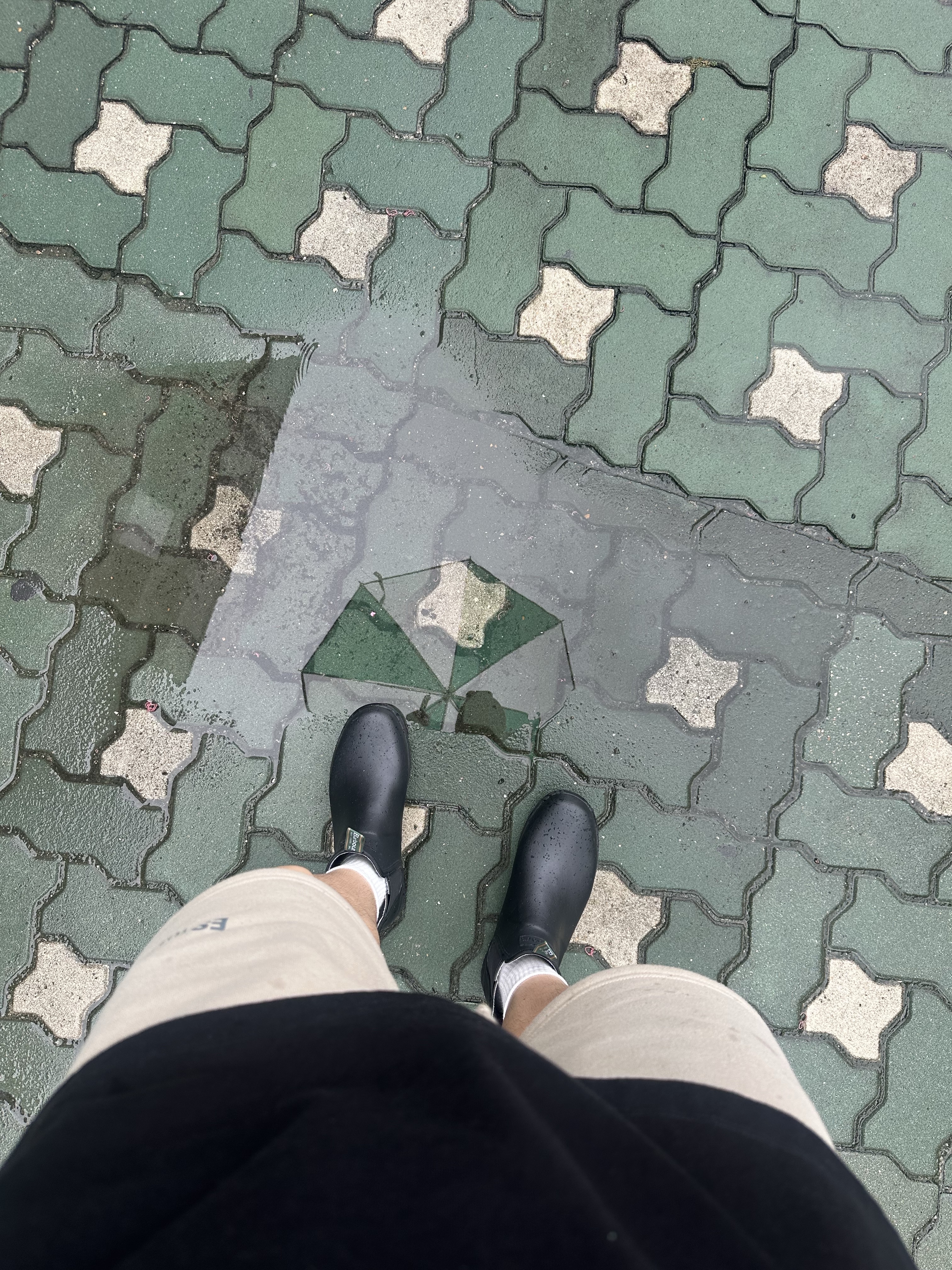 Essentials The Core Collection Sweatshorts Tan, Essentials The Black Collection T-Shirt Black - 23SS 착용 스타일