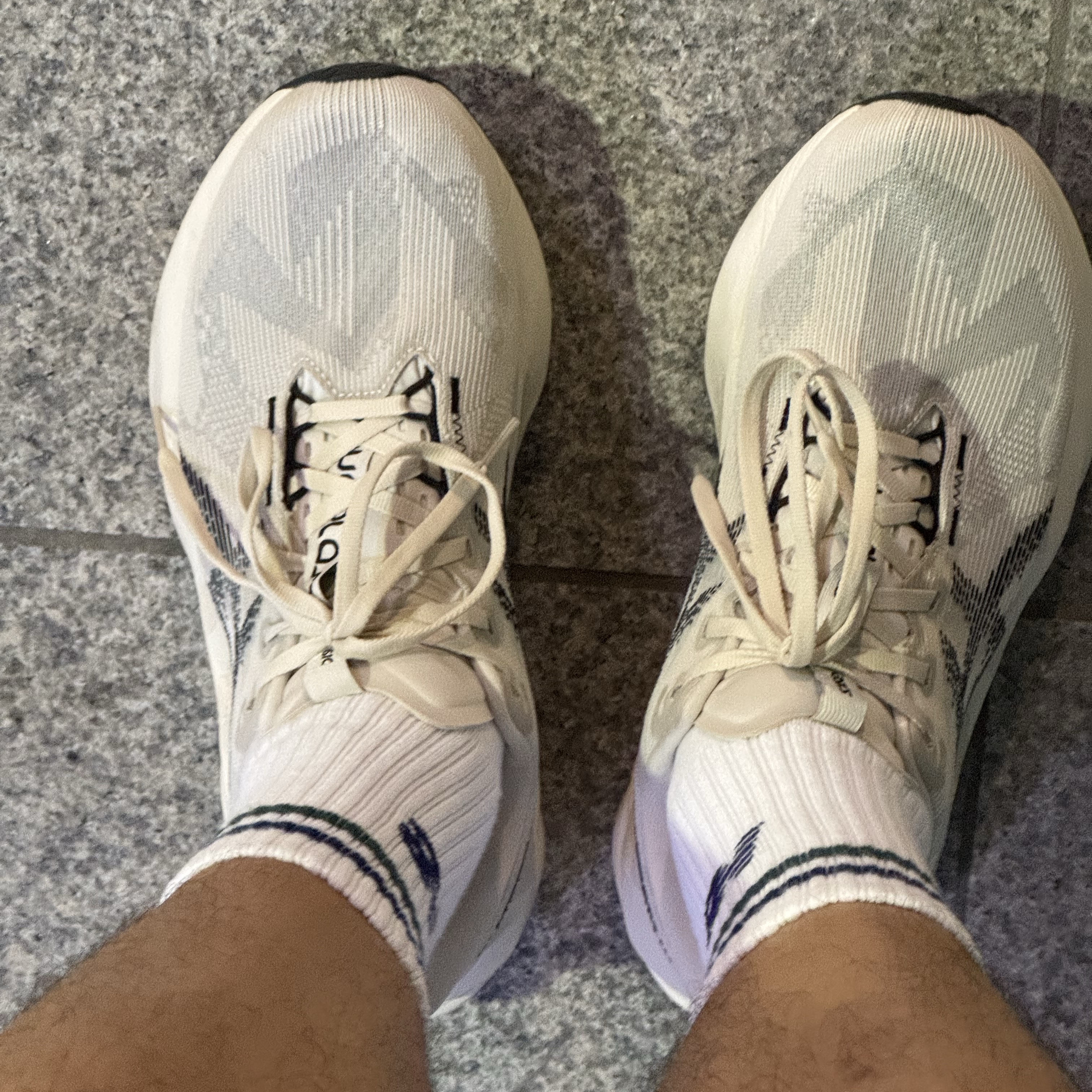 Asics Novablast 5 Oatmeal Black - D Standard 착용 스타일
