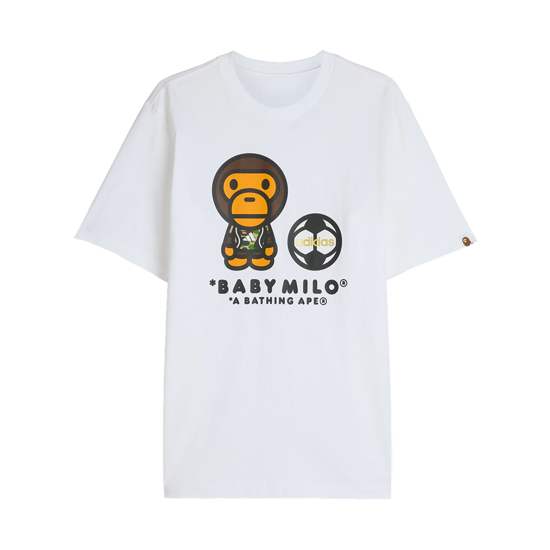 a_74996a2da8c9449b913b88d625f2