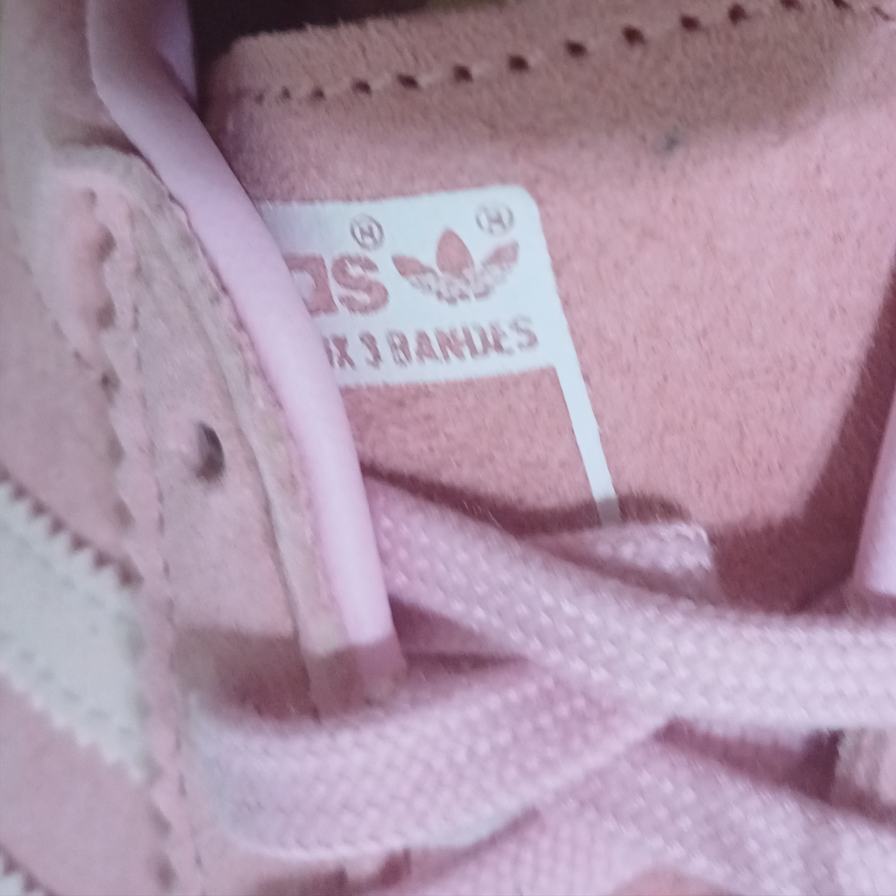 Adidas Bermuda Glow Pink 착용 스타일 - 2