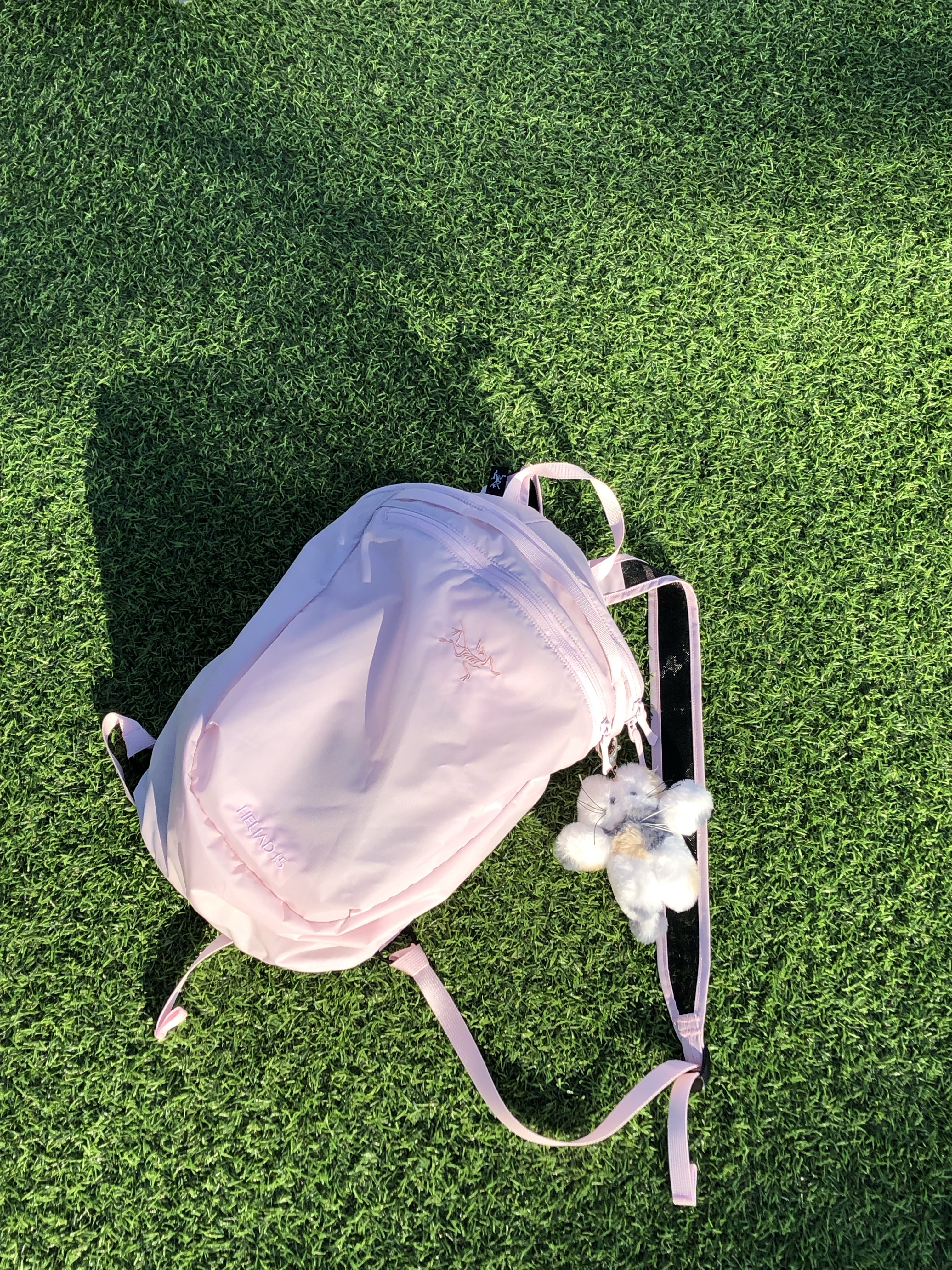 GODASHIN Cats Keyring Calico, Arc'teryx Heliad 15 Backpack Pink Glow 착용 스타일