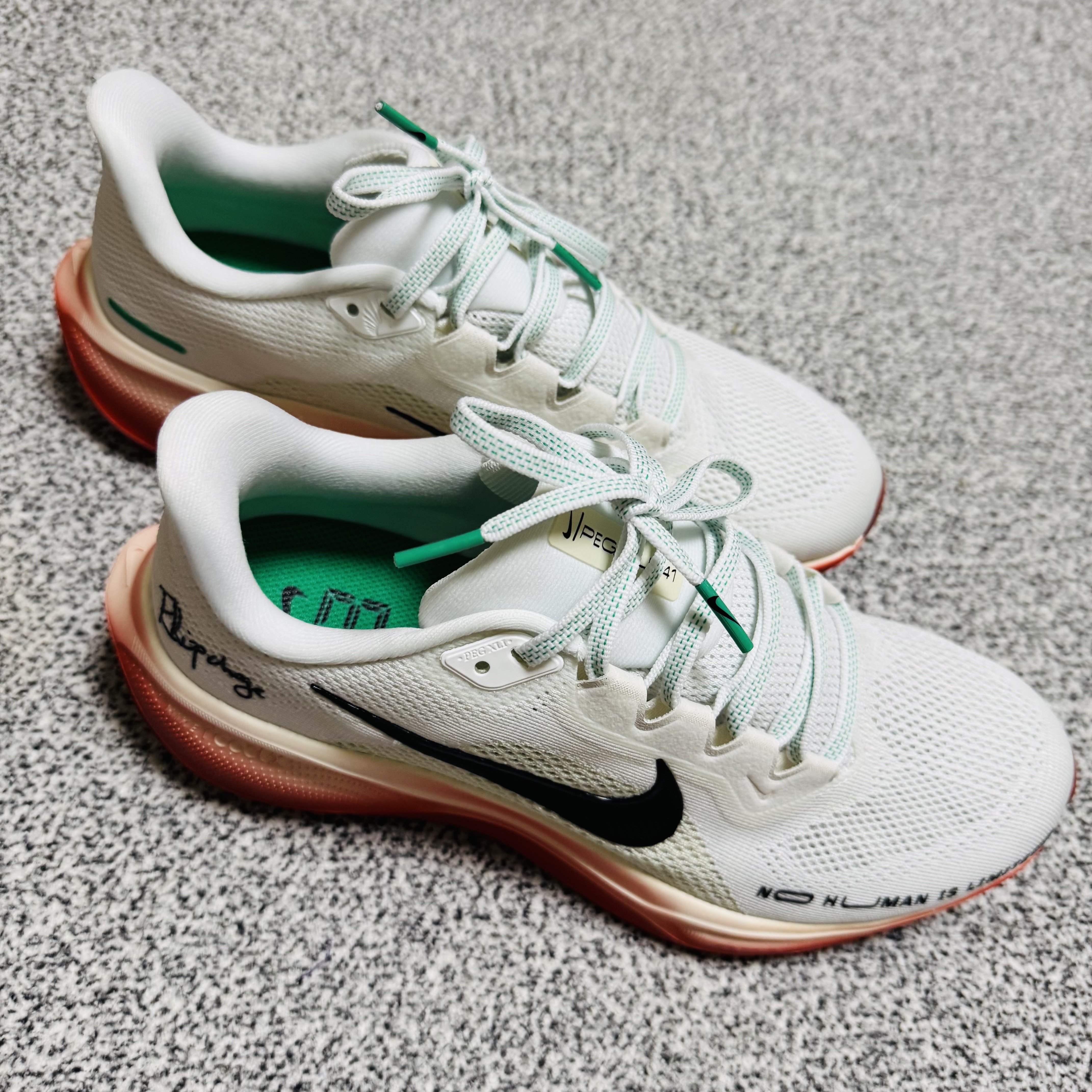 Nike Pegasus 41 Eliud Kipchoge 착용 스타일