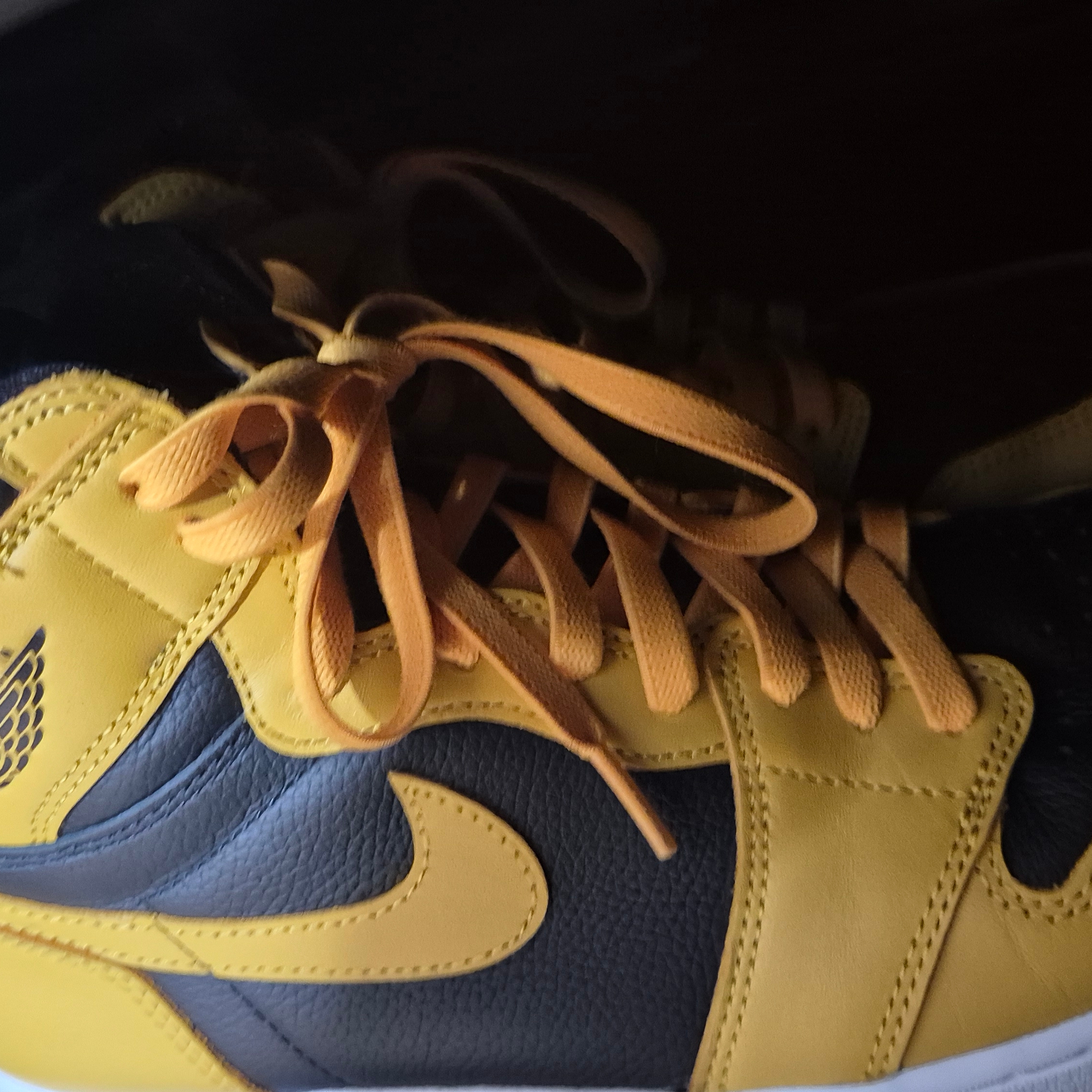 Jordan 1 Retro High OG Pollen 착용 스타일