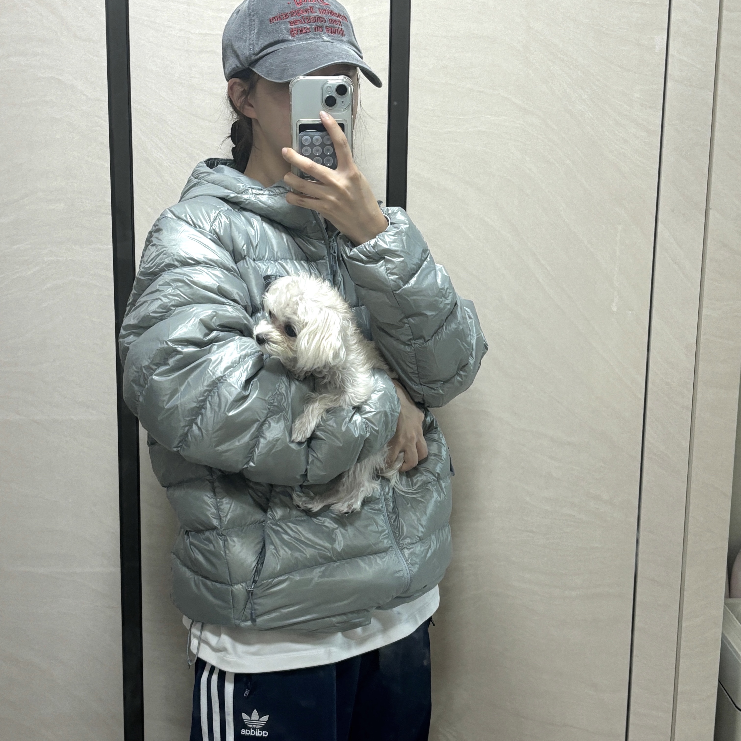 The North Face Matier EX RDS Down Hoodie Light Gray - 25FW 착용 스타일