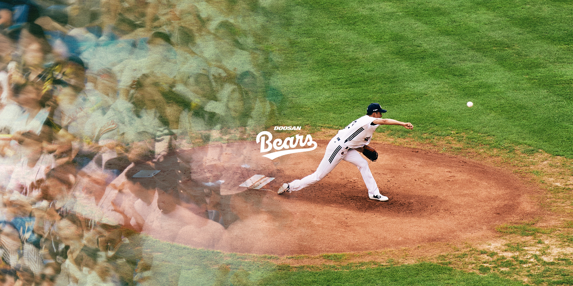 Doosan Bears x Safarispot