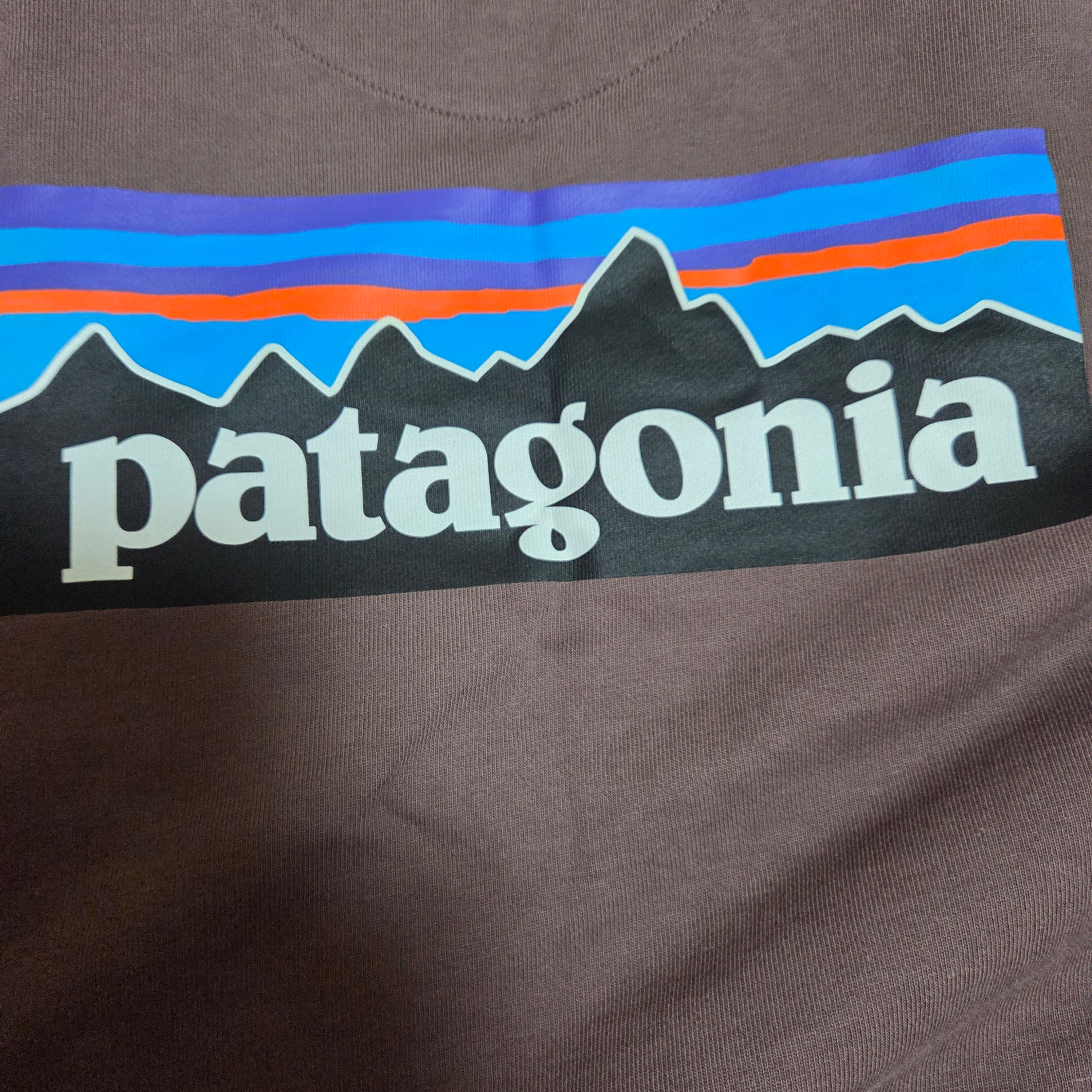 Patagonia P-6 Logo Organic Crew Sweatshirt Dusky Brown 착용 스타일