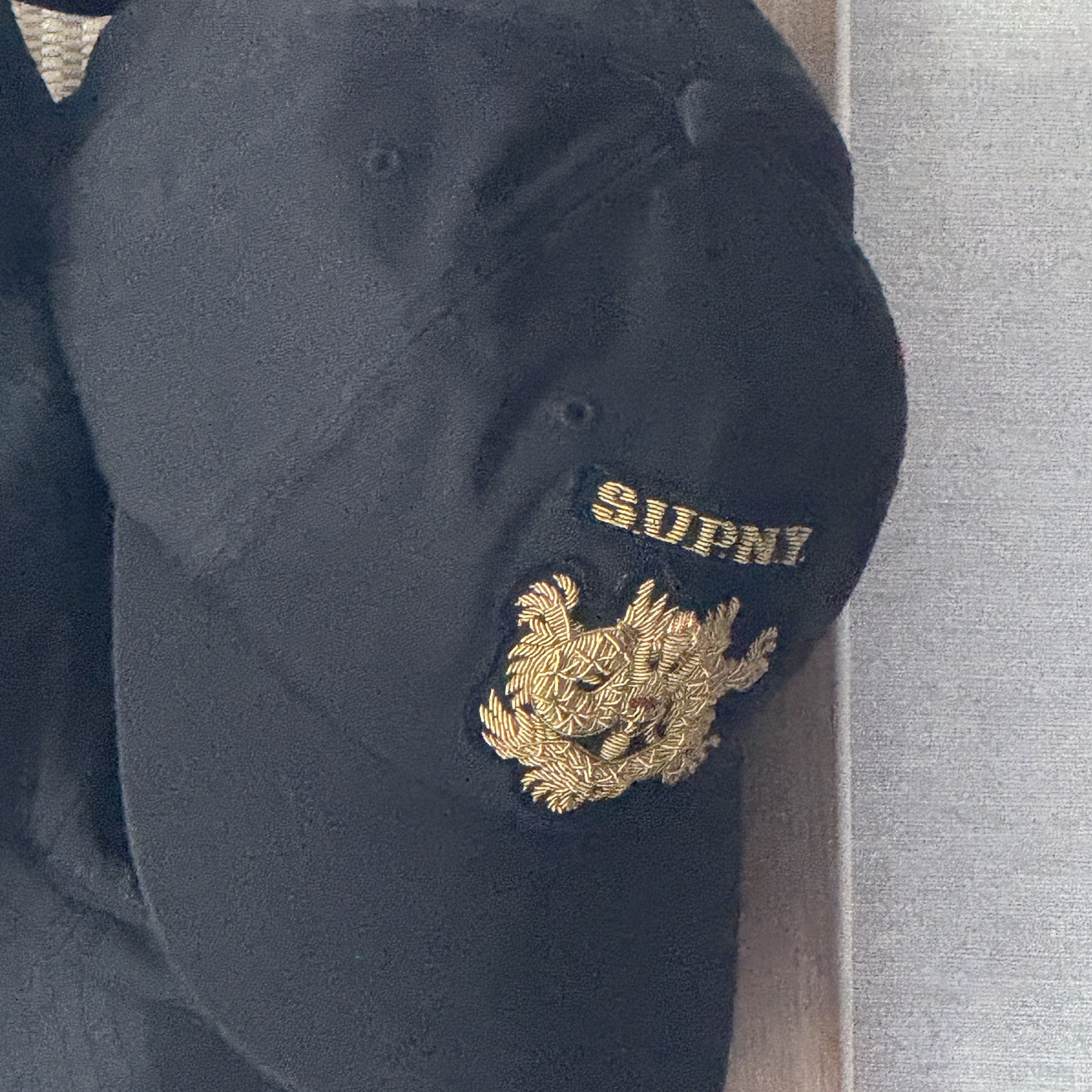 Supreme Bullion Dragon 6-Panel Black - 25SS 착용 스타일