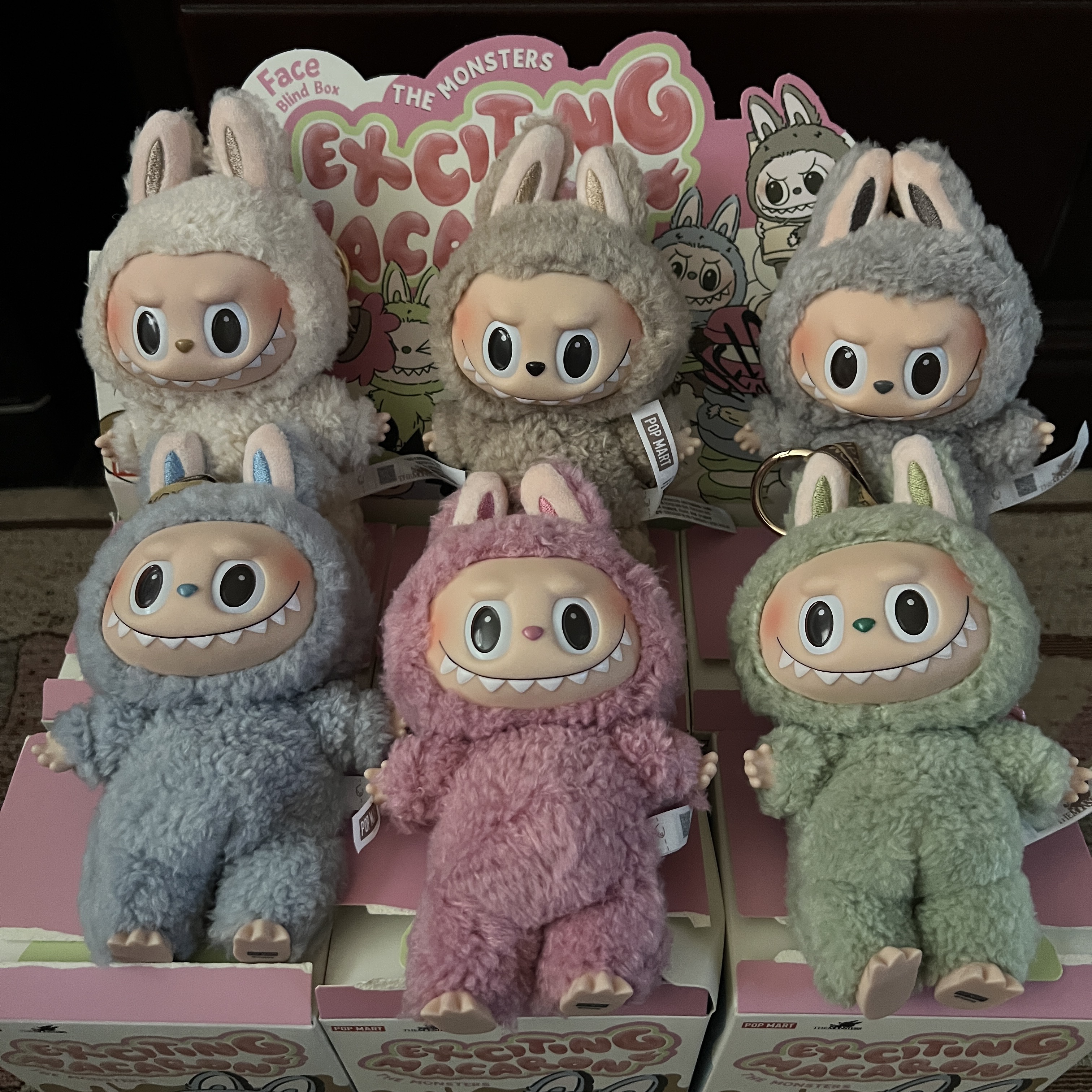 Pop Mart The Monsters Labubu Tasty Macarons Series Sealed Case (6 Blind Boxes) 착용 스타일