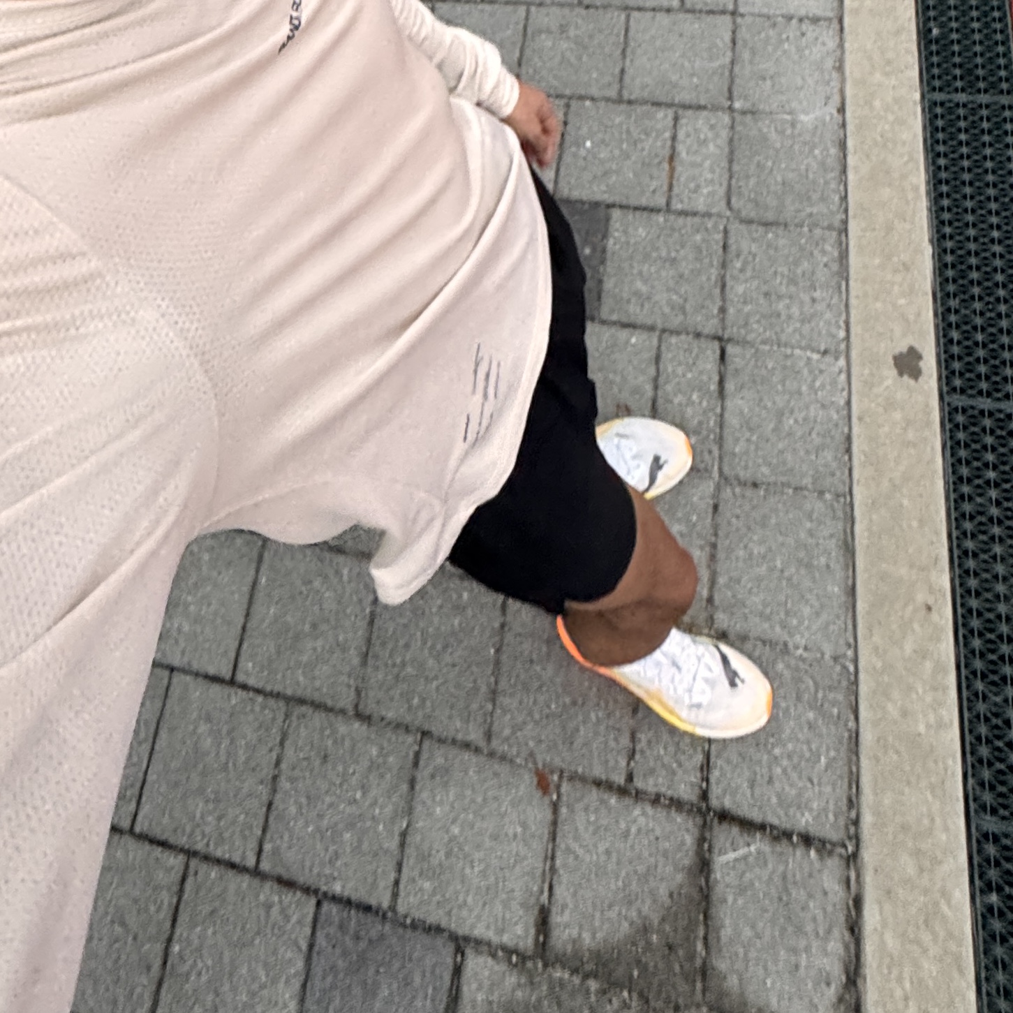 Puma Deviate Nitro Elite 3 White Sun Stream, Bandit Running Micromesh Long Sleeve Performance T-Shirt Champagne 착용 스타일