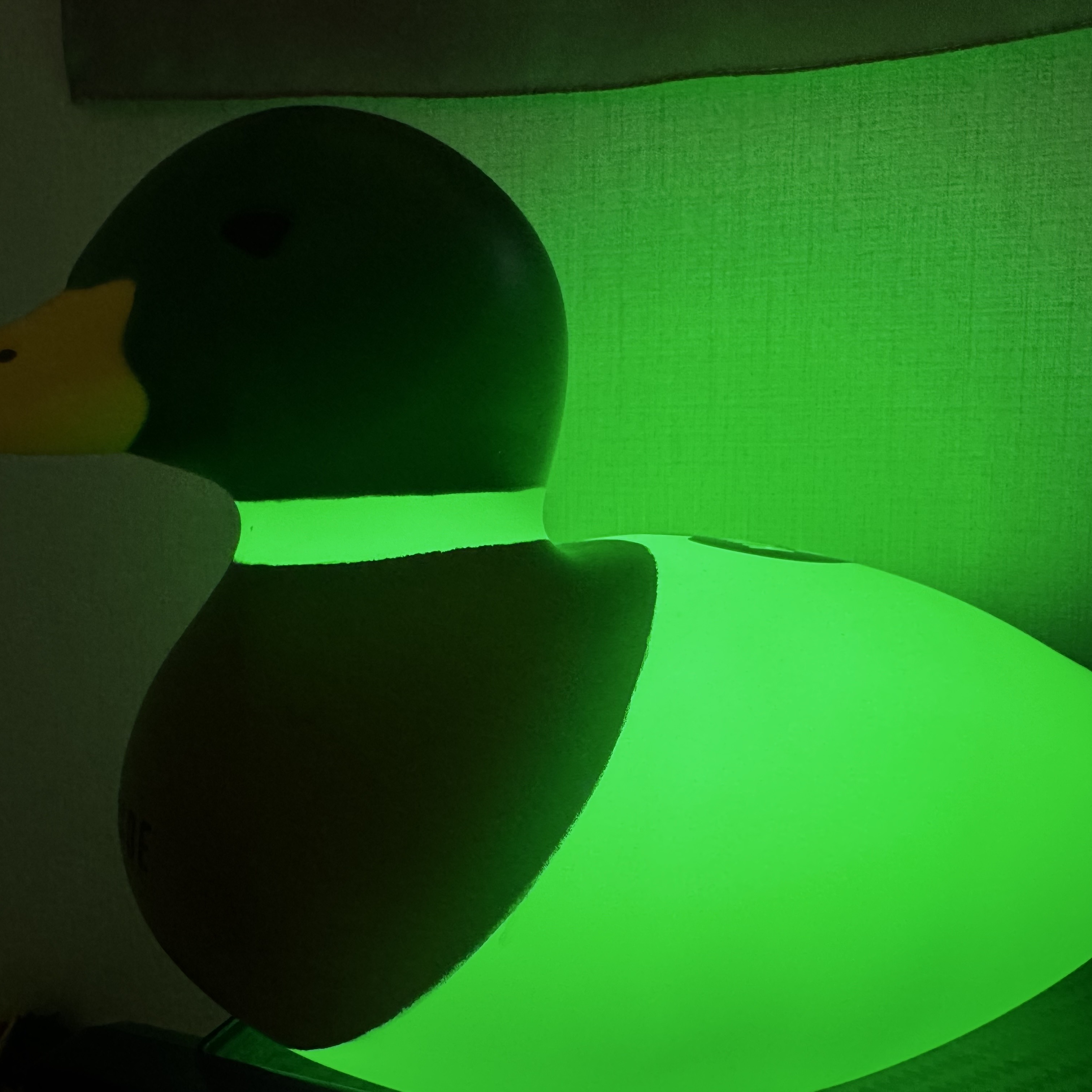 Human Made Rubber Duck Lamp Green μ°©μ© μ€νμΌ - 4