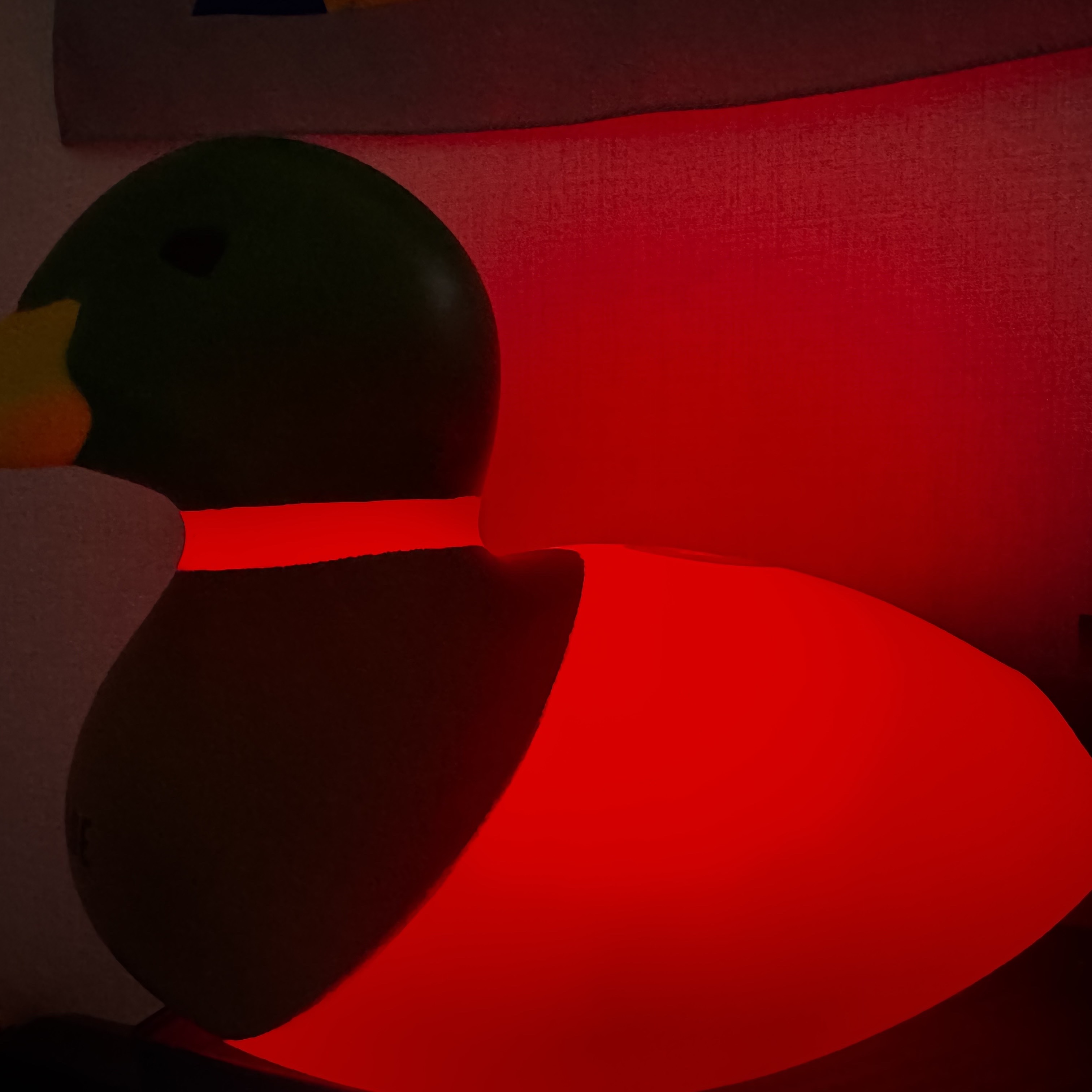 Human Made Rubber Duck Lamp Green μ°©μ© μ€νμΌ - 6