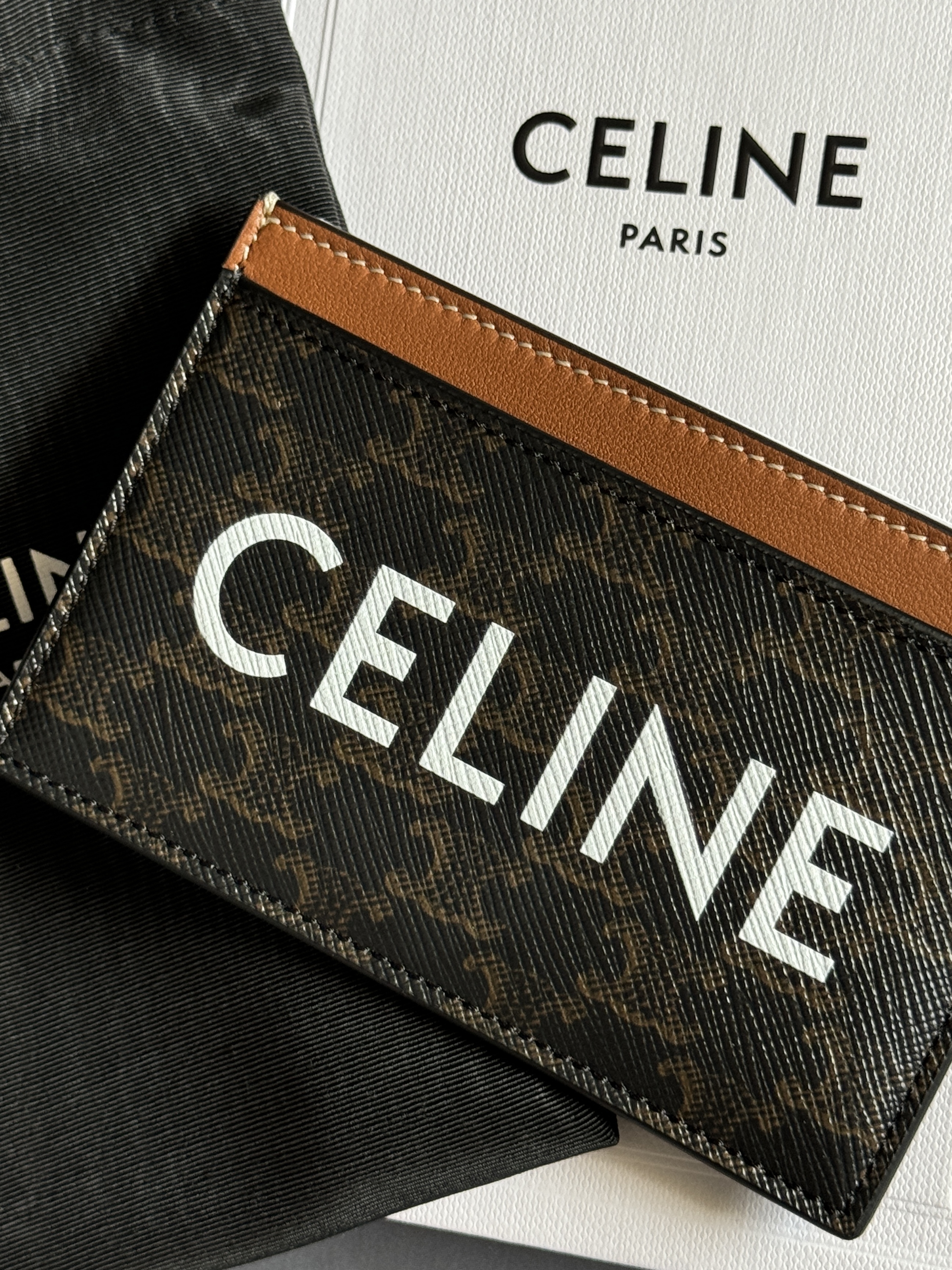 Celine Card Holder in Triomphe Canvas with Celine Print Tan 착용 스타일