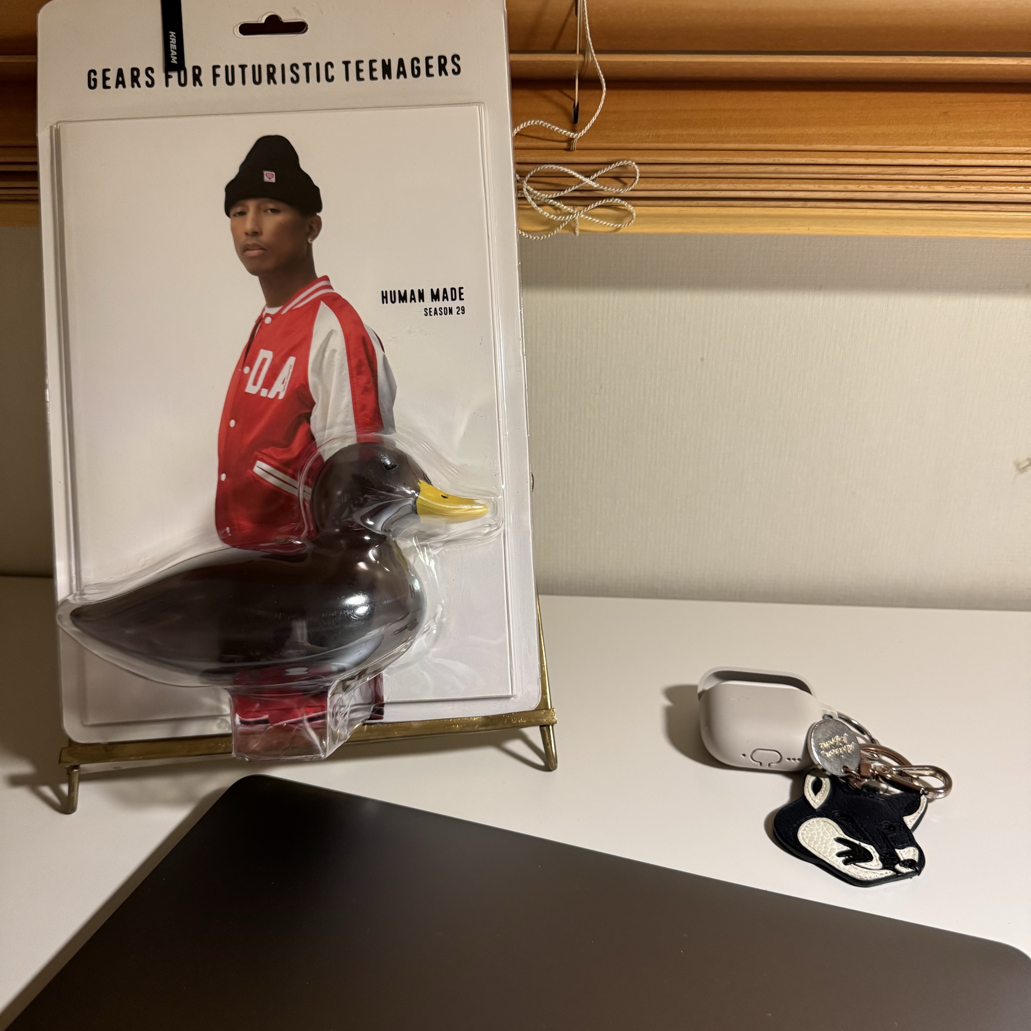 Human Made Book for Futuristic Teenagers Season 29 (With Black Rubber Duck) 착용 스타일