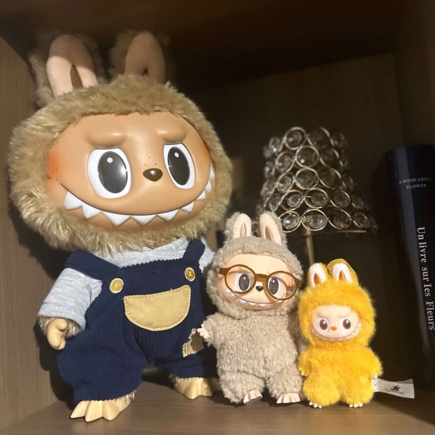 Pop Mart Labubu Time To Chill Vinyl Plush Doll 착용 스타일