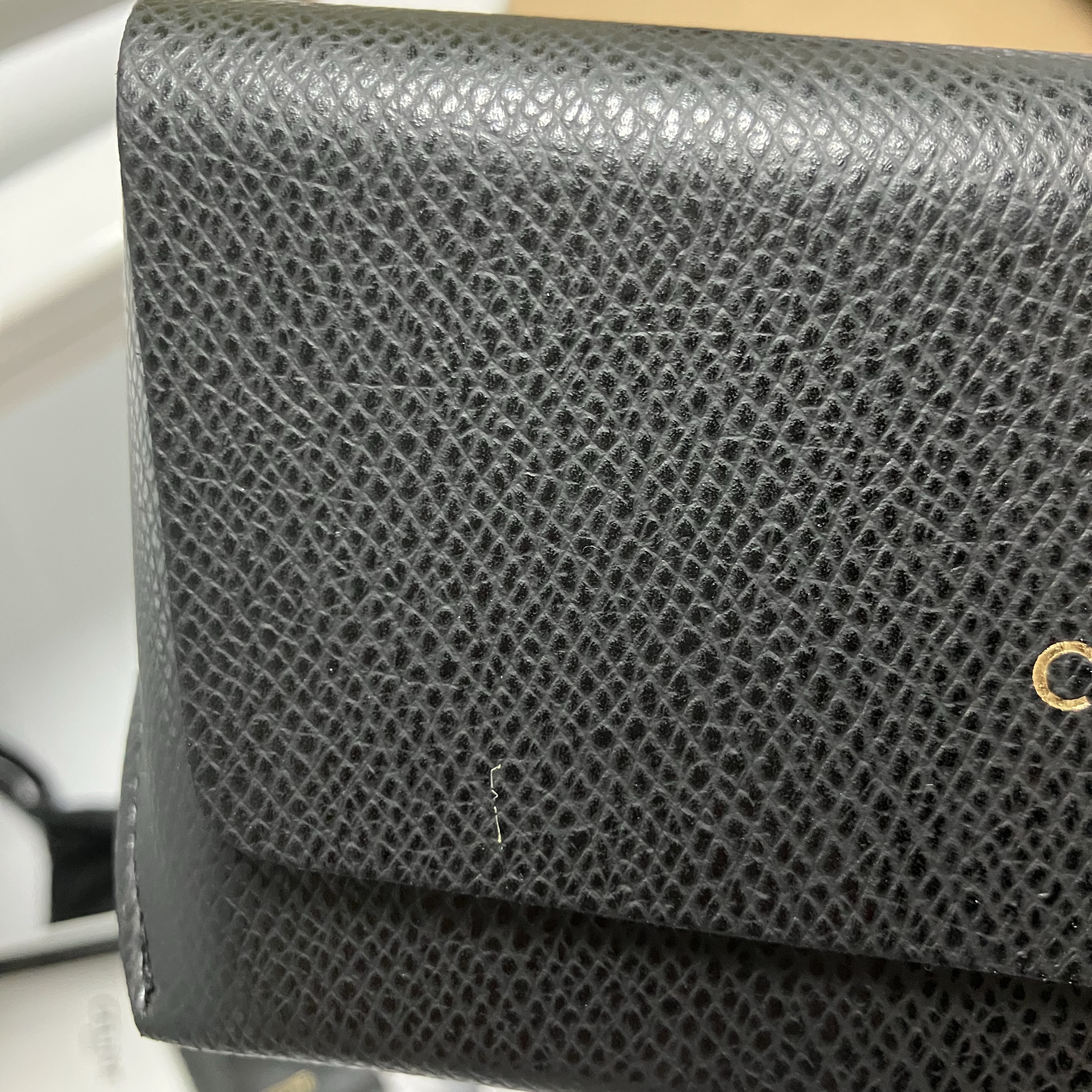 (W) Celine Triomphe 01 Sunglasses in Acetate Black 착용 스타일 - 3