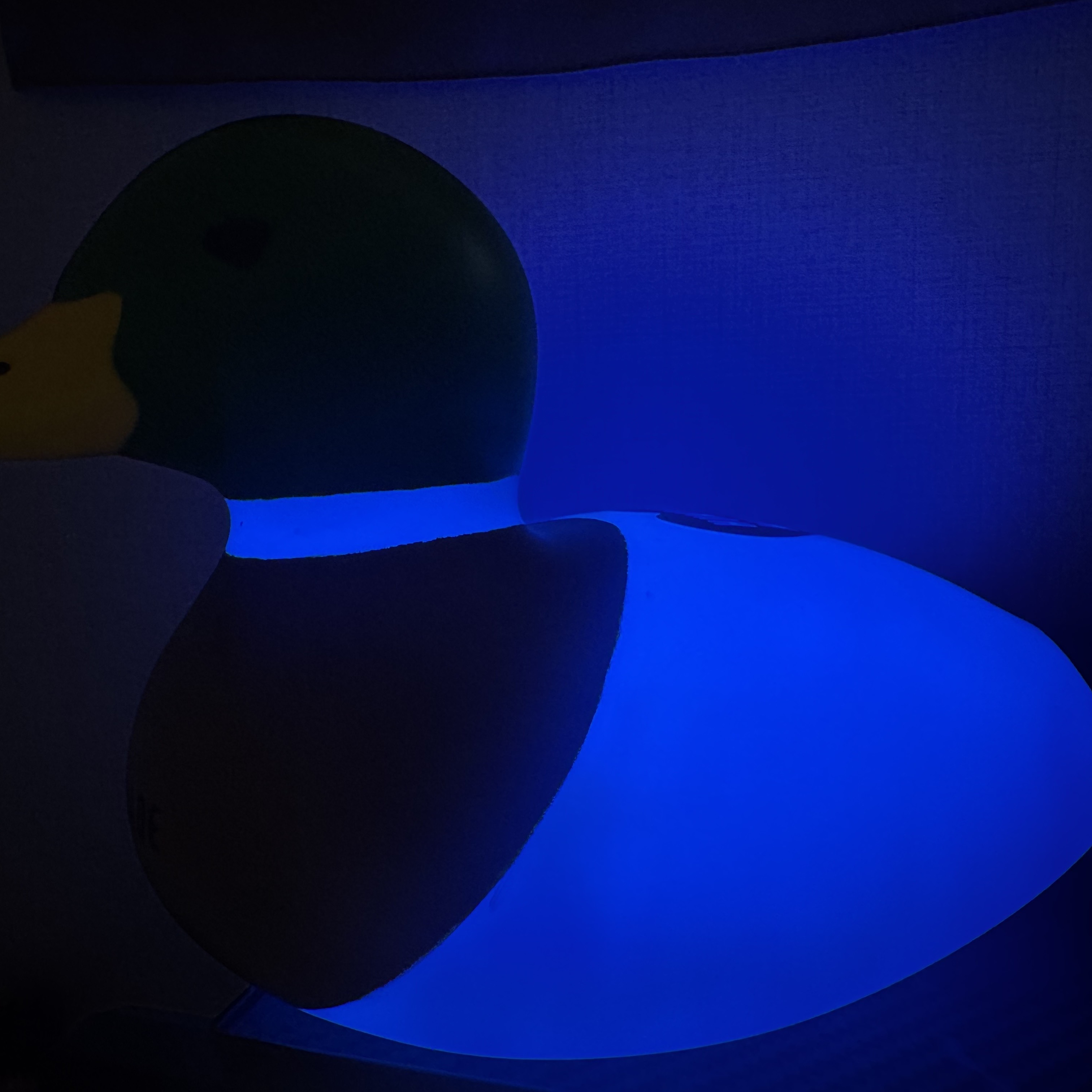 Human Made Rubber Duck Lamp Green μ°©μ© μ€νμΌ - 3