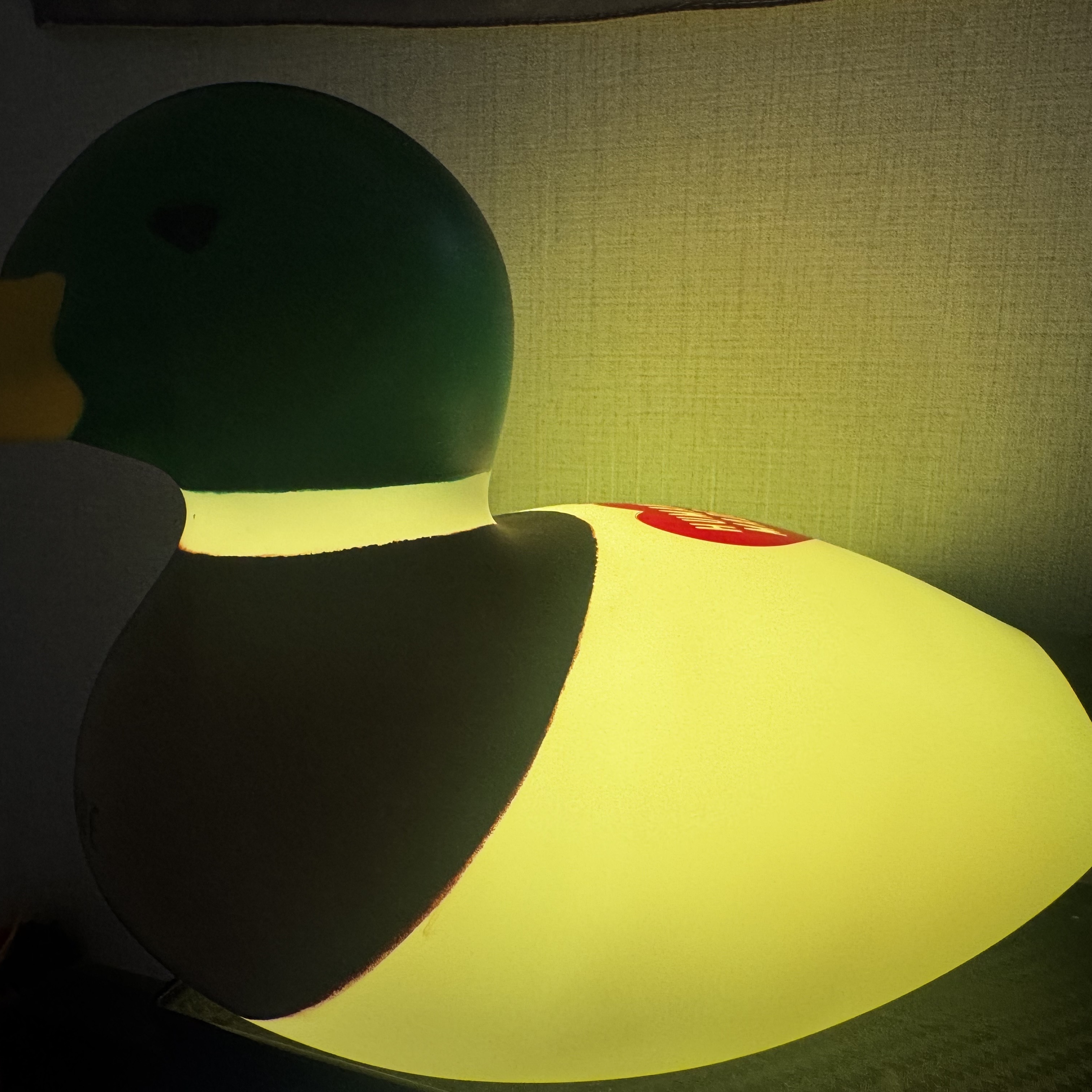 Human Made Rubber Duck Lamp Green μ°©μ© μ€νμΌ - 5