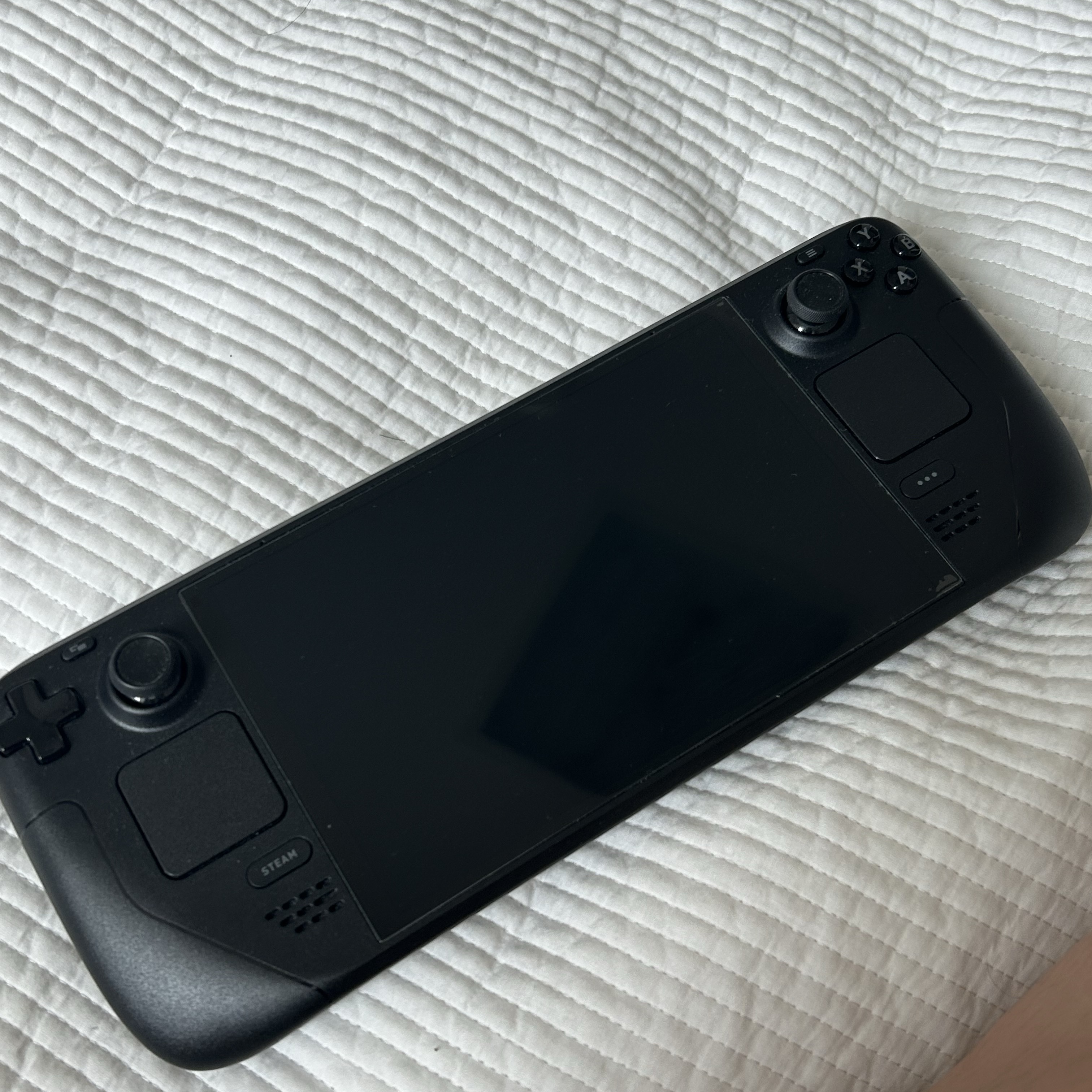 Valve Steam Deck OLED 1TB NVMe SSD (Korean Ver.) 착용 스타일 - 1