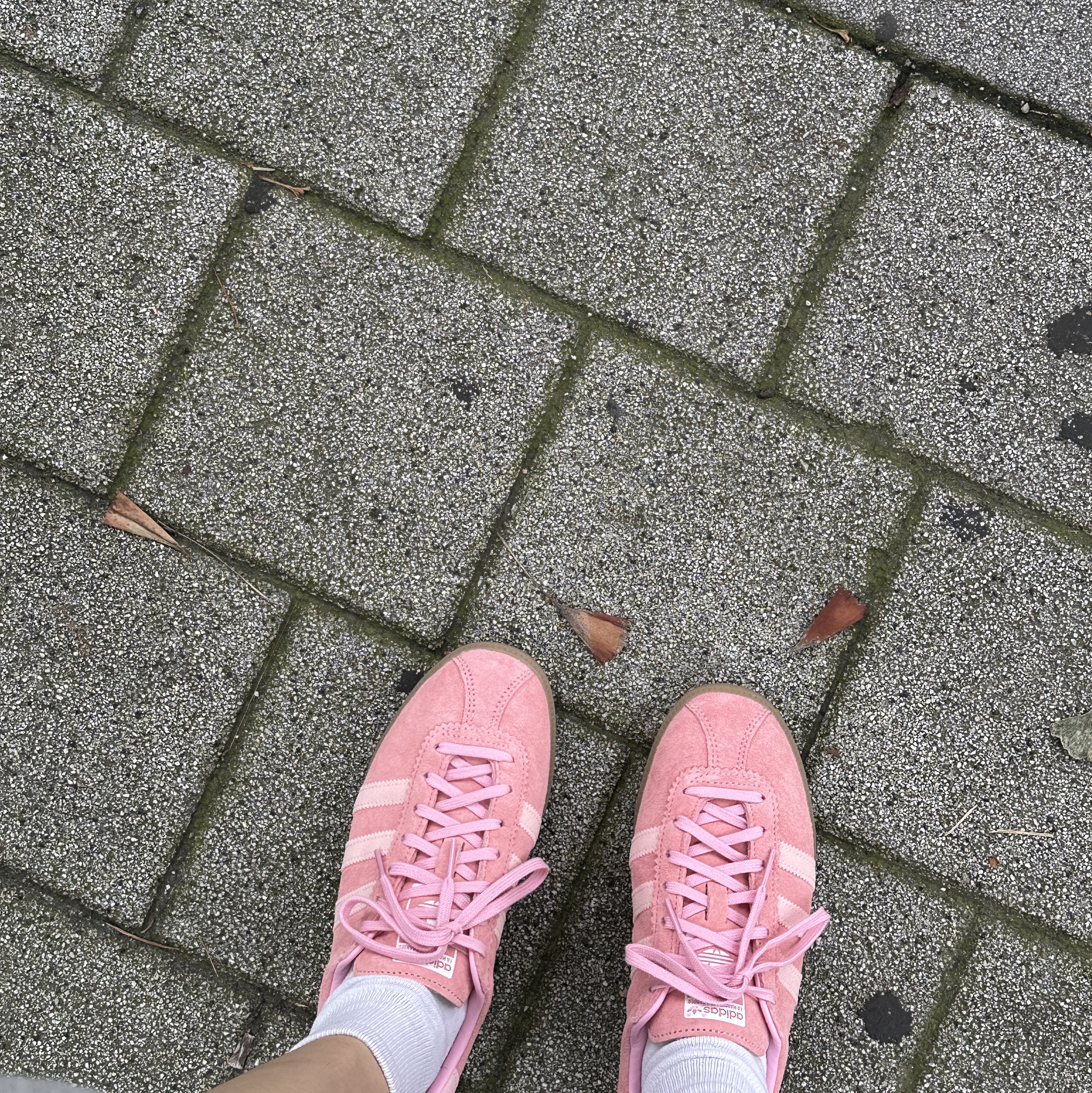 Adidas Bermuda Glow Pink 착용 스타일