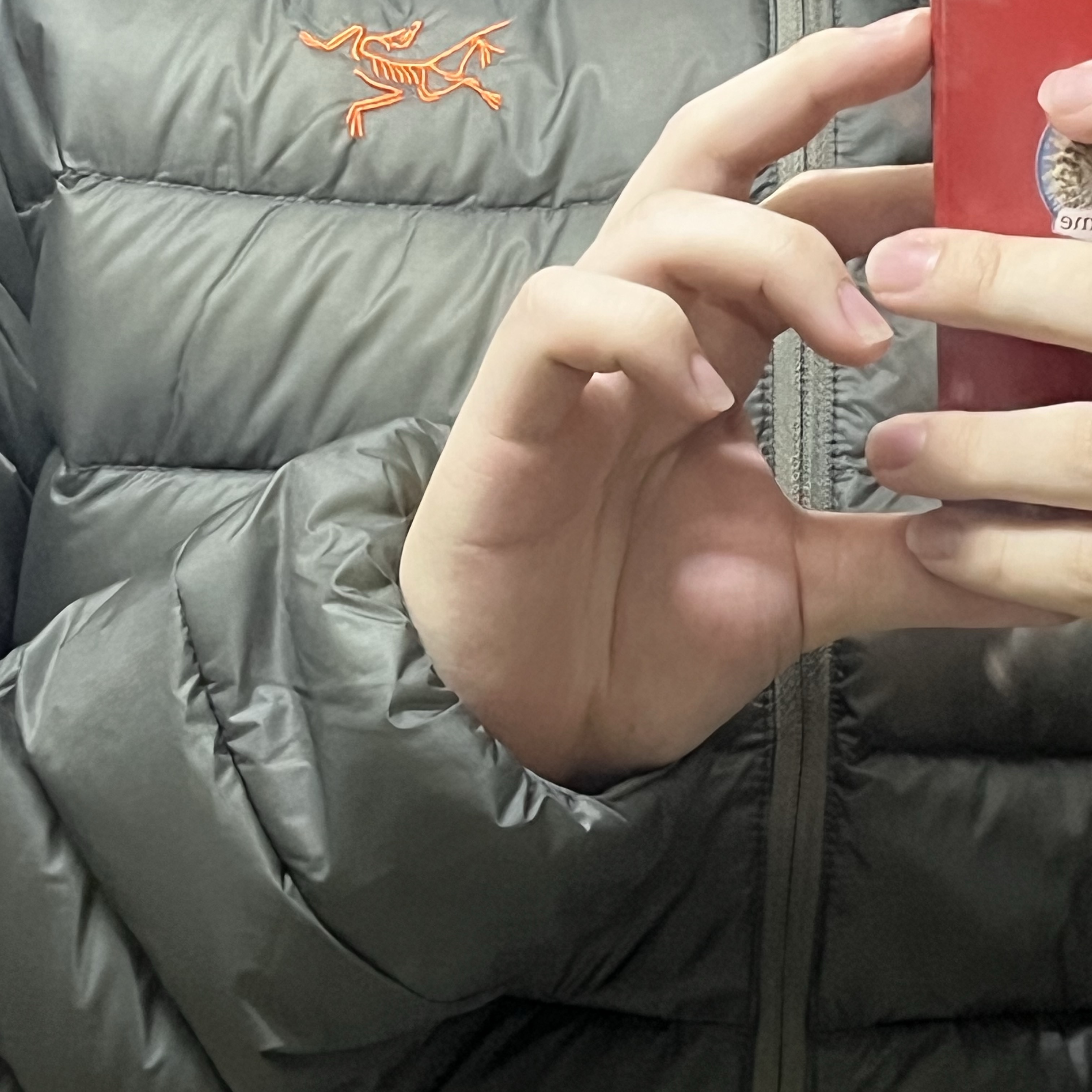 Arc'teryx Cerium Hoody Forage Verve 착용 스타일