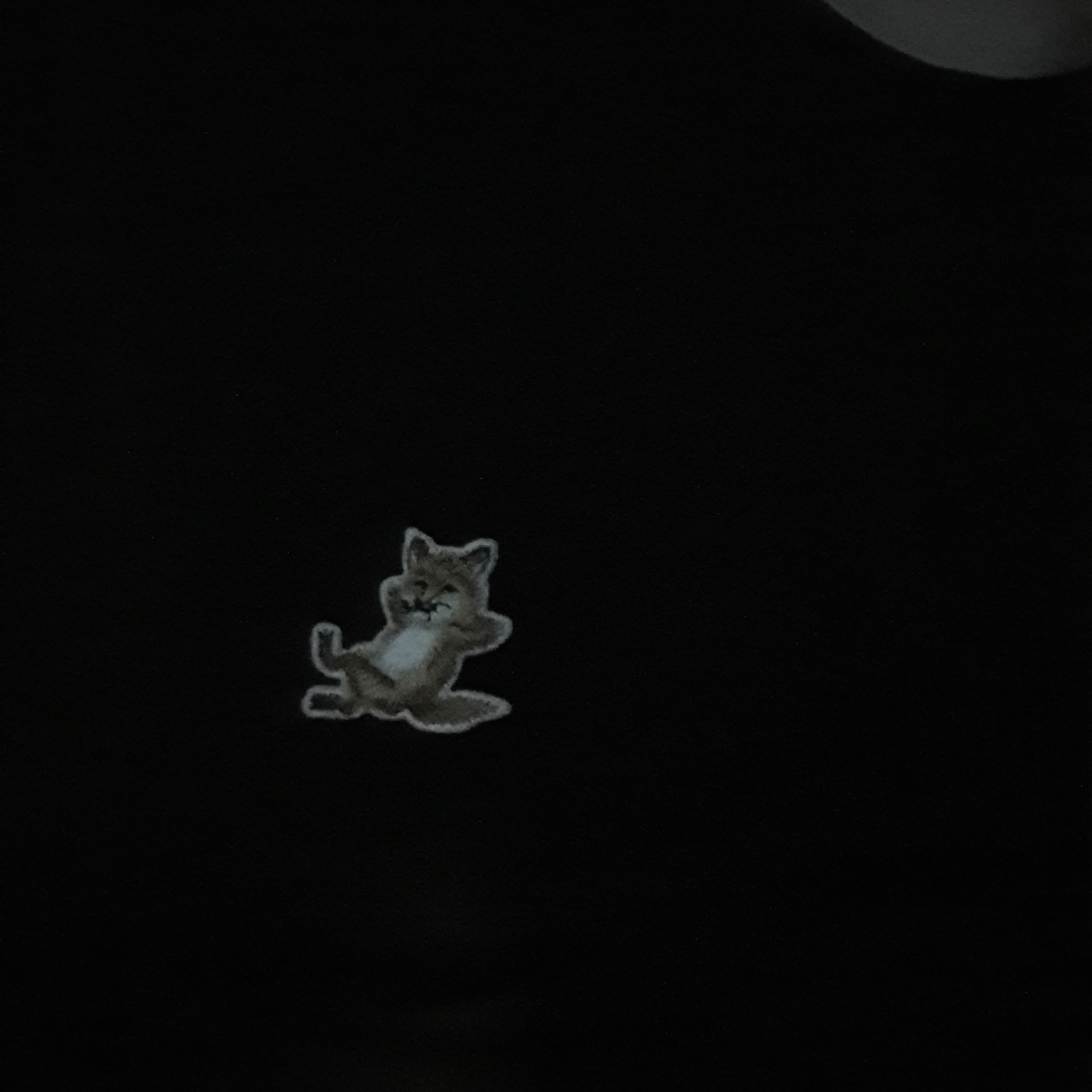 Maison Kitsune Chillax Fox Patch Regular T-Shirt Black 착용 스타일