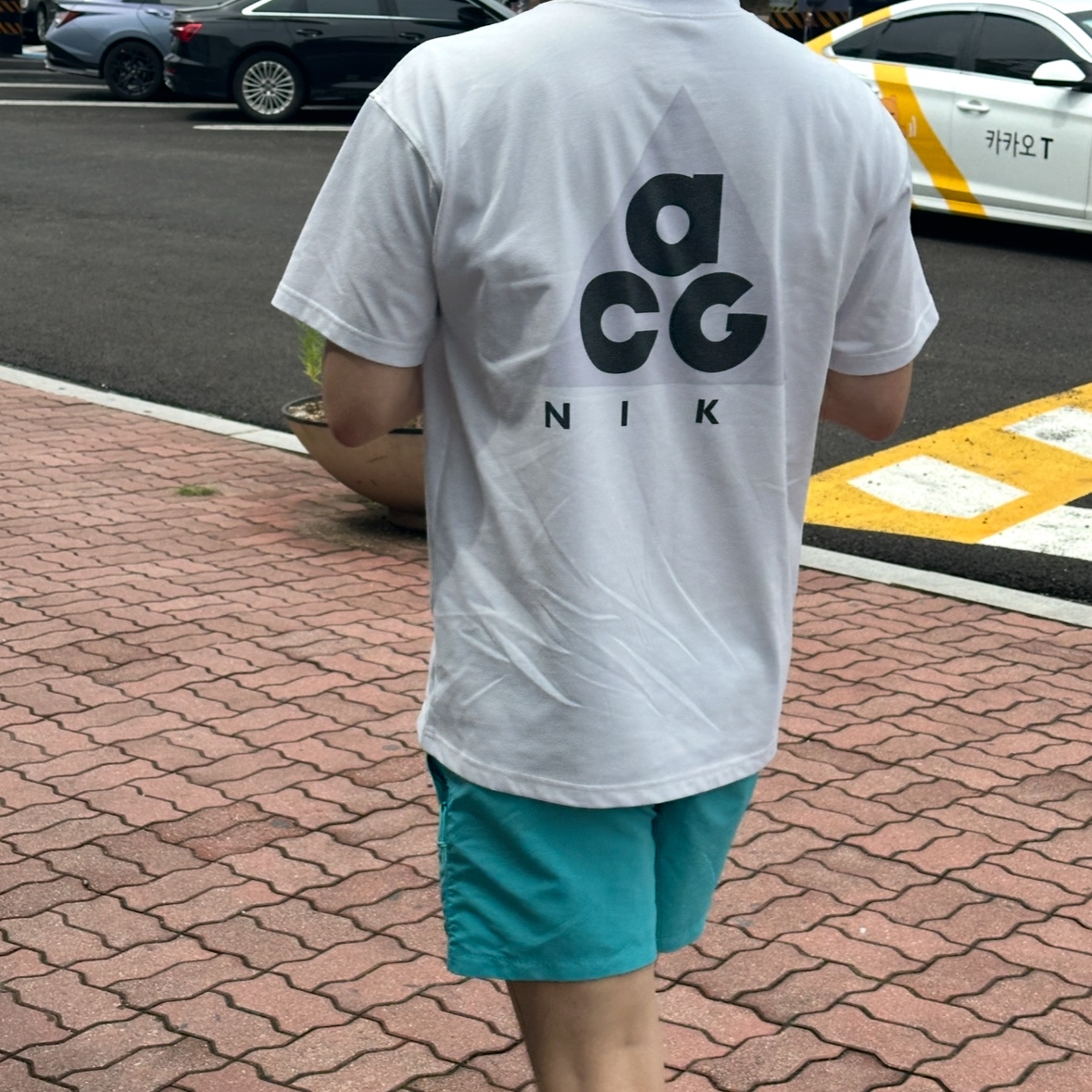Nike ACG Max 90 T-Shirt Summit White - Asia, Nike ACG Reservoir Goat Shorts Dusty Cactus - Asia 착용 스타일 - 1