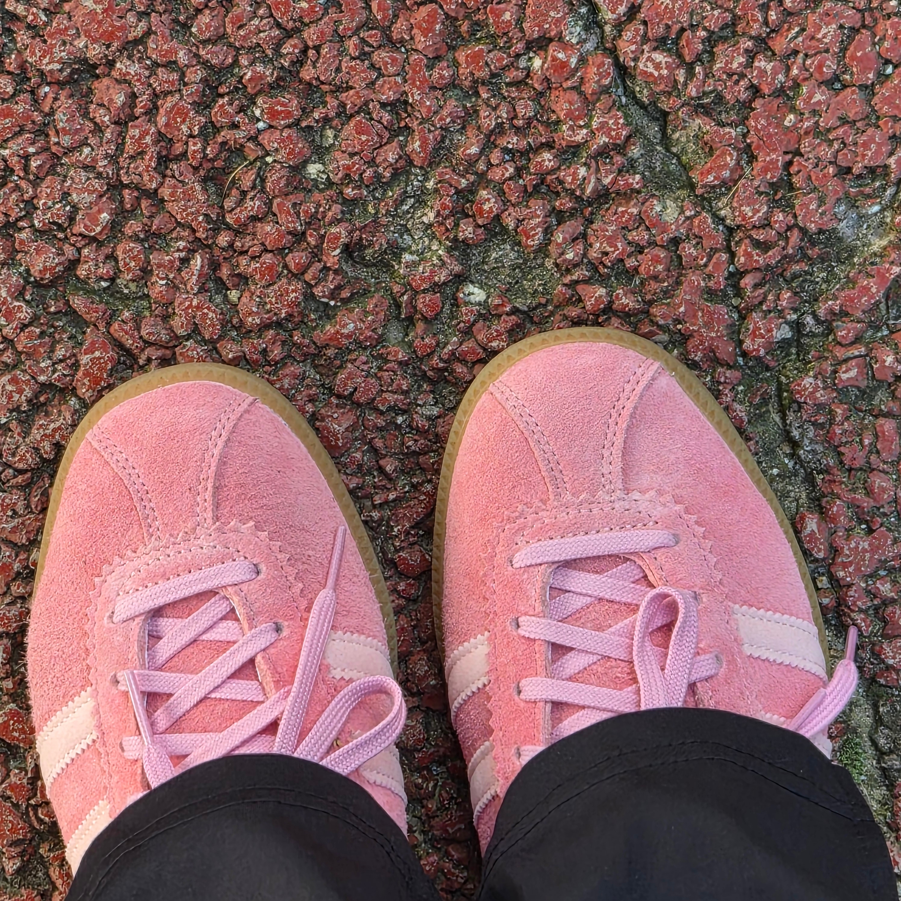 Adidas Bermuda Glow Pink 착용 스타일 - 1
