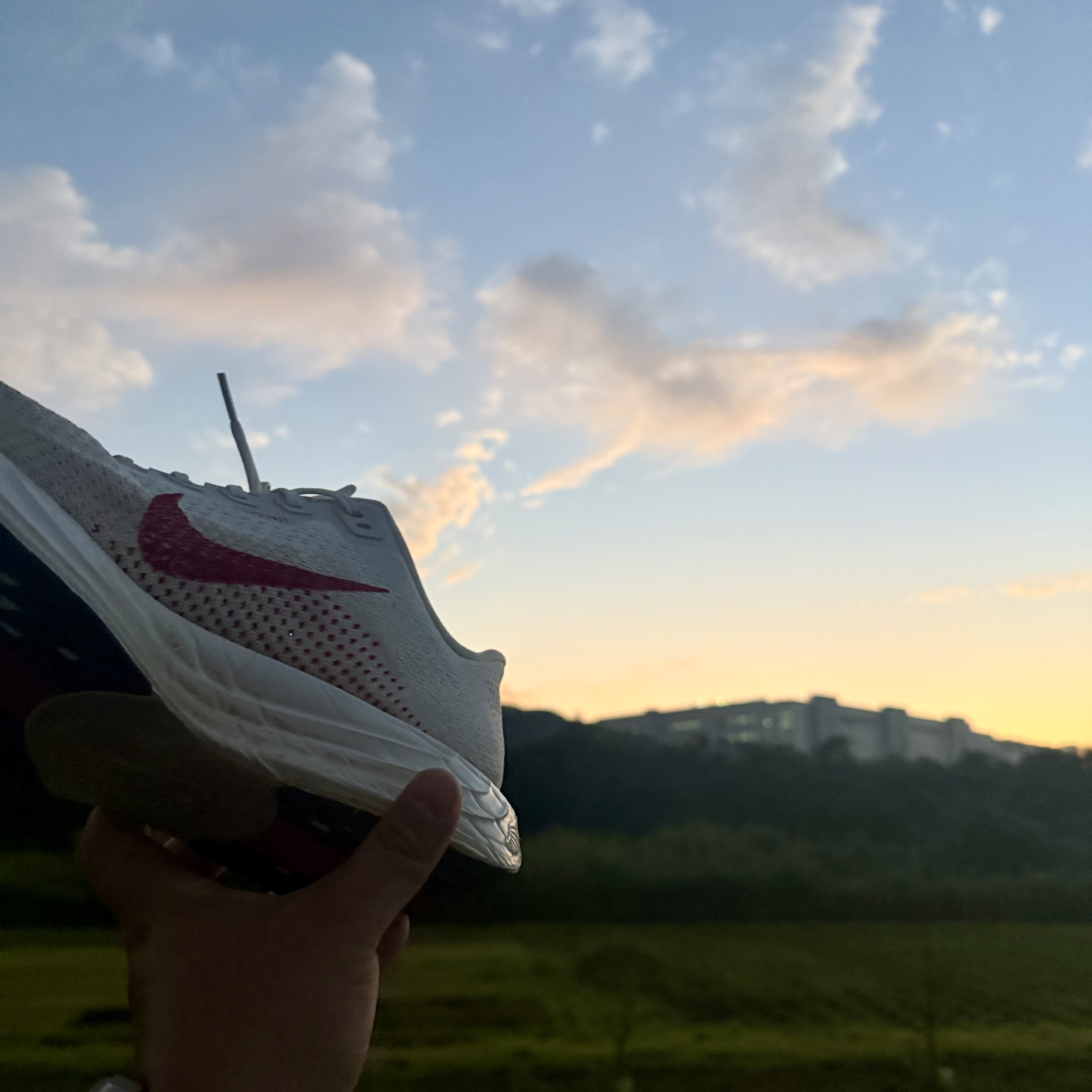 Nike Pegasus Plus Platinum Tint University Red 착용 스타일