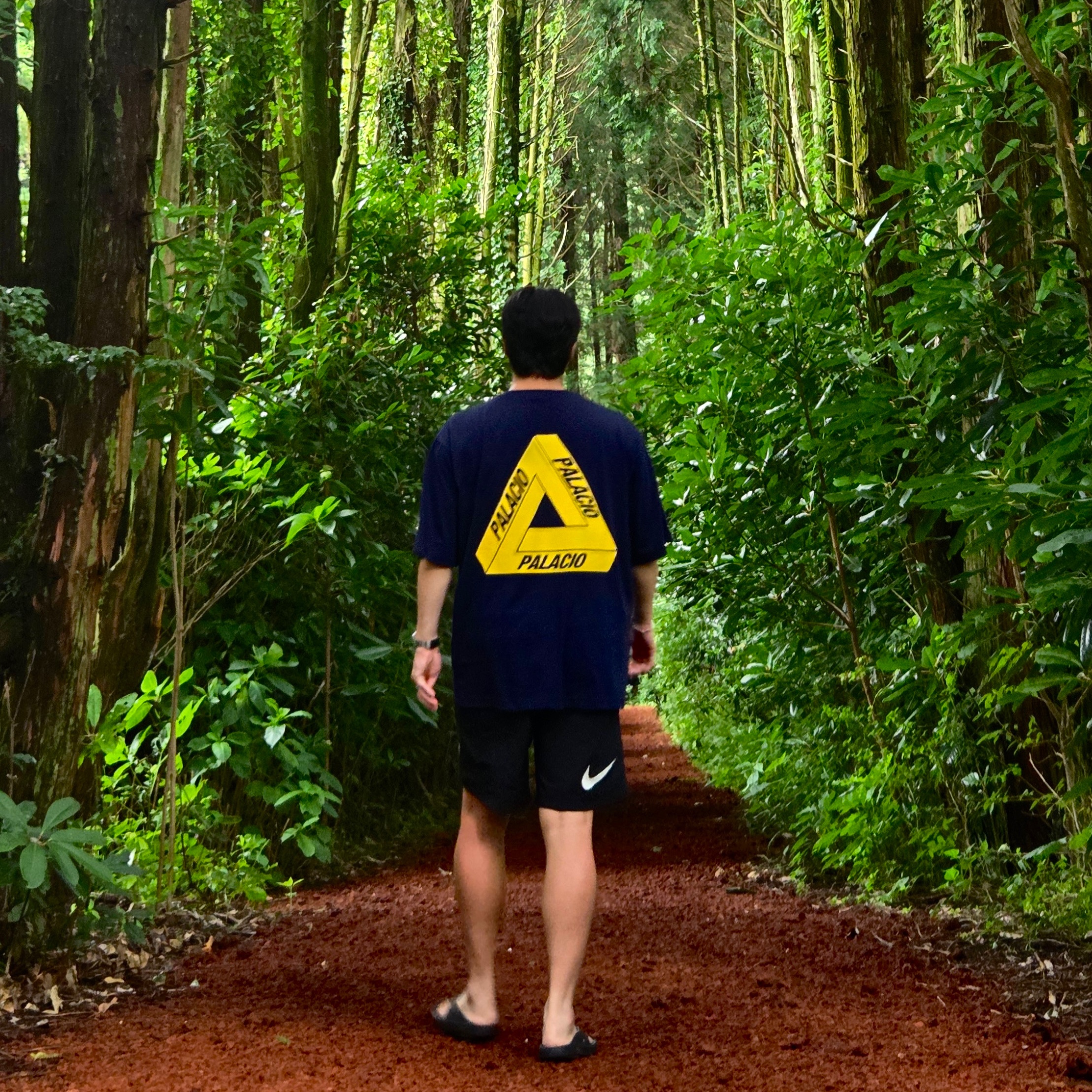 Palace Tri Lingual T-Shirt Navy - 25FW, Nike x Stussy Shorts Black (FJ9167-010) 착용 스타일